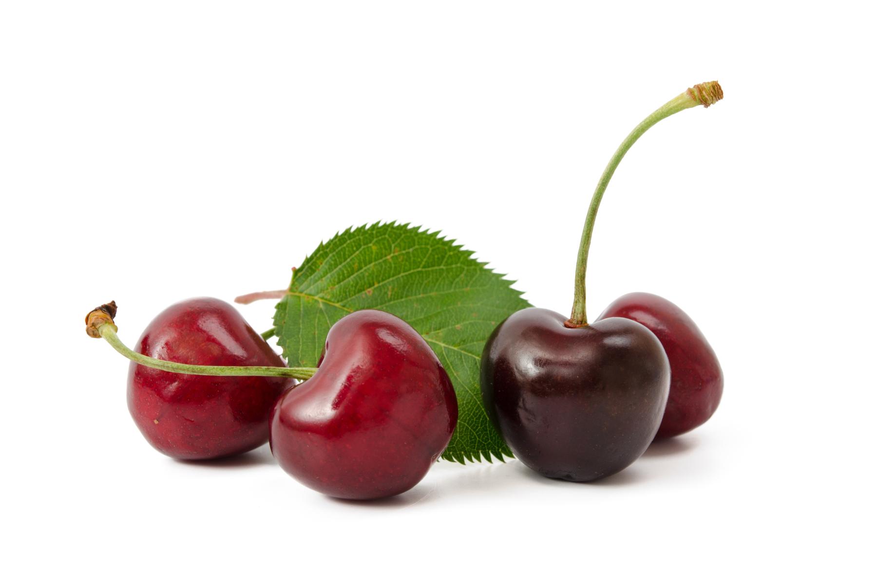 Vier dunkelrote Kirschen mit grünem Blatt auf weißem Hintergrund