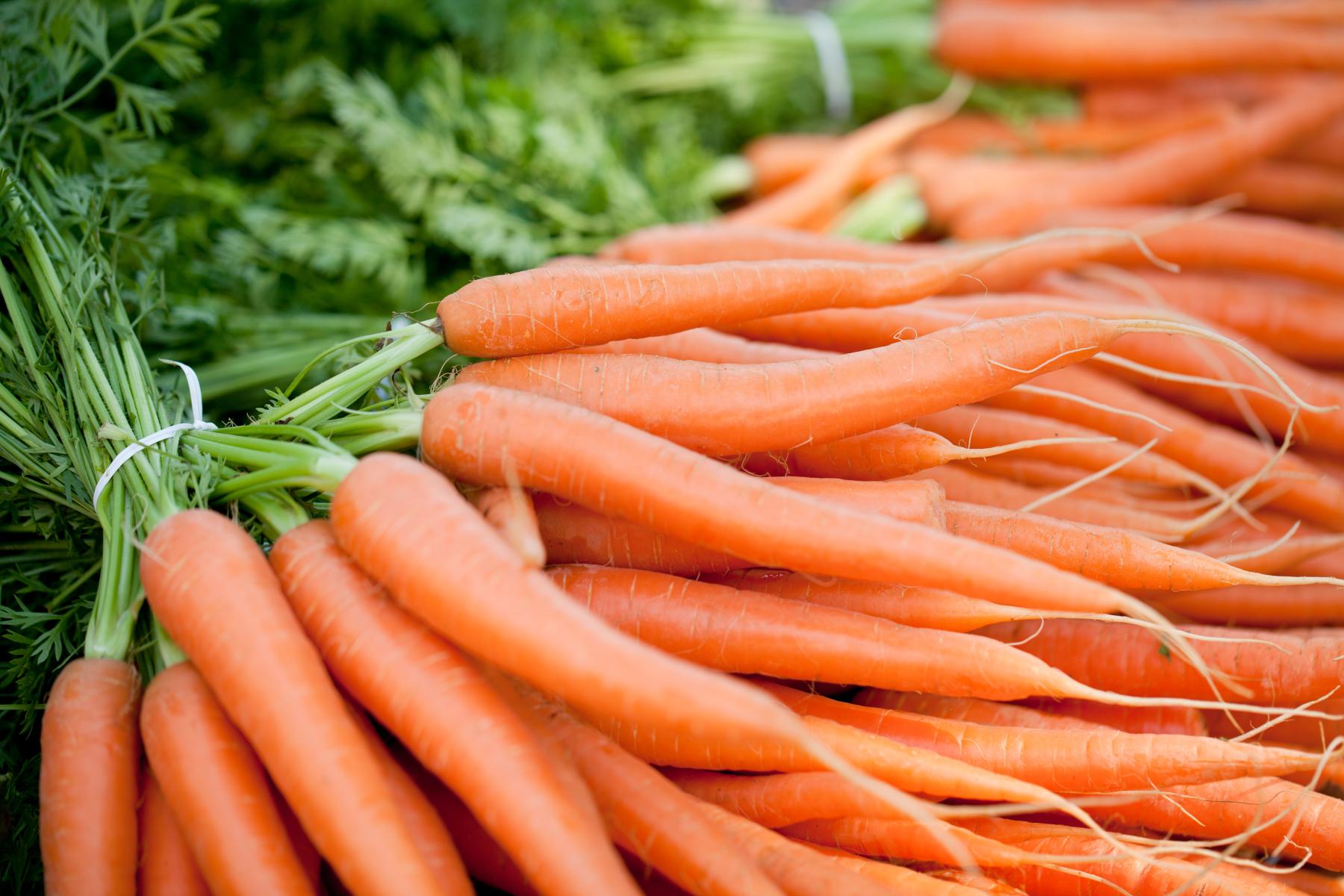 Frische orange Karotten mit grünen Blättern, locker gebündelt auf einem Marktstand