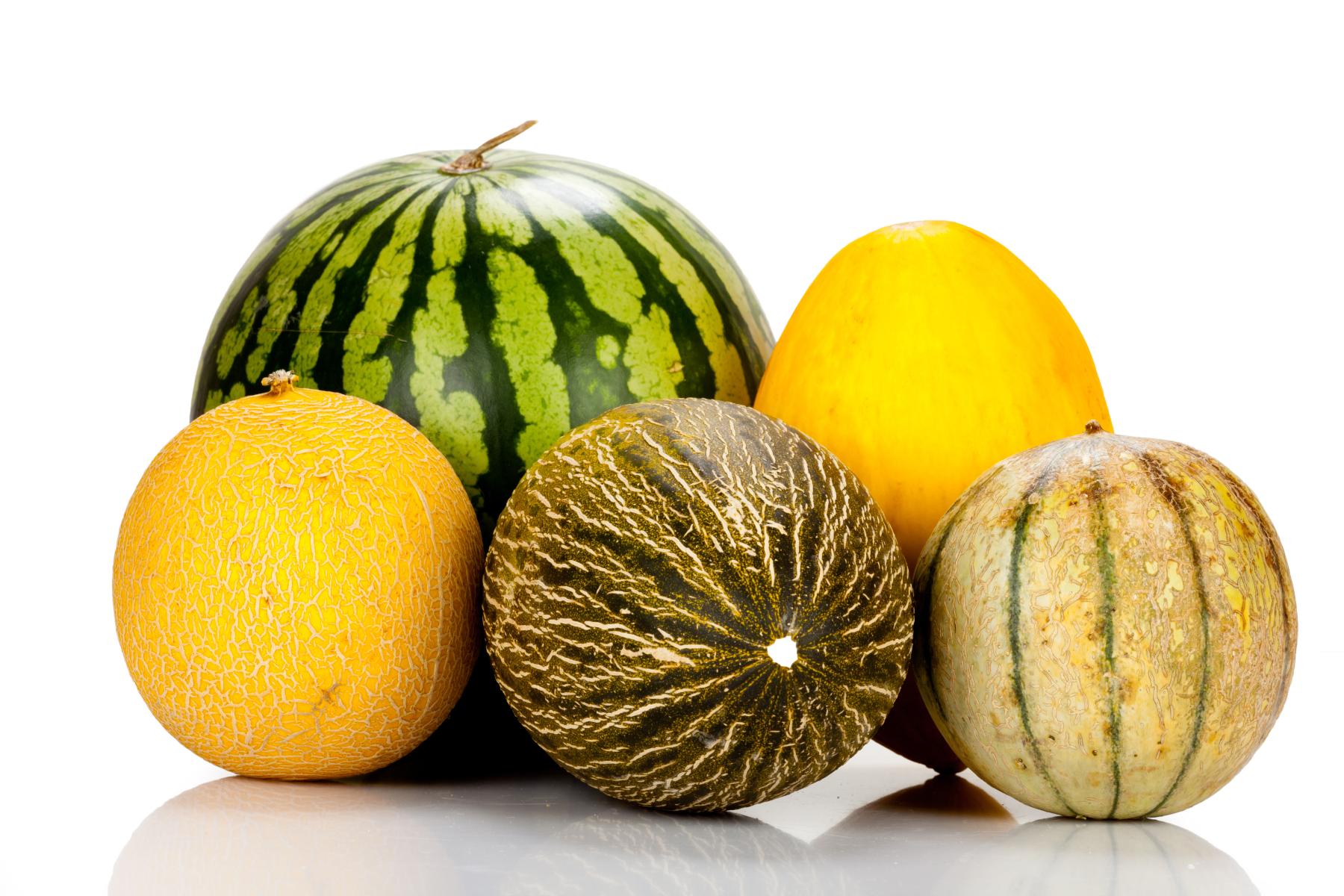 Fünf verschiedene Melonen: eine grüne Wassermelone, zwei gelbe Honigmelonen, eine grüne Netzmelone und eine gelb-grün gestreifte Melone auf weißem Hintergrund