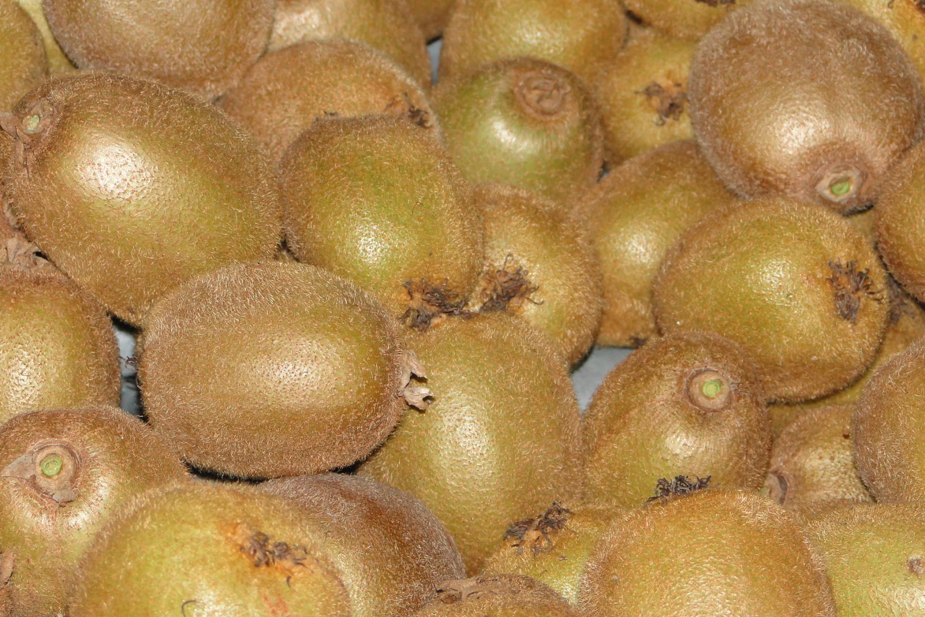 Mehrere braune Kiwis mit pelziger Schale liegen dicht beieinander