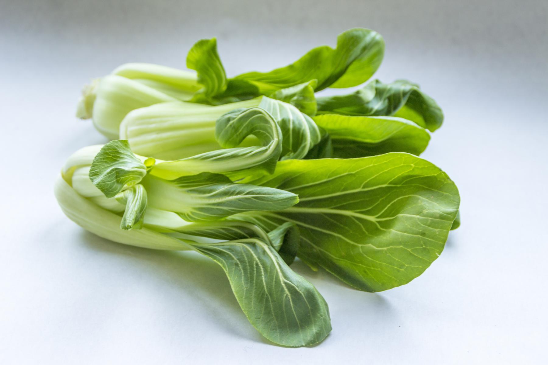 Blätter von Pakchoi