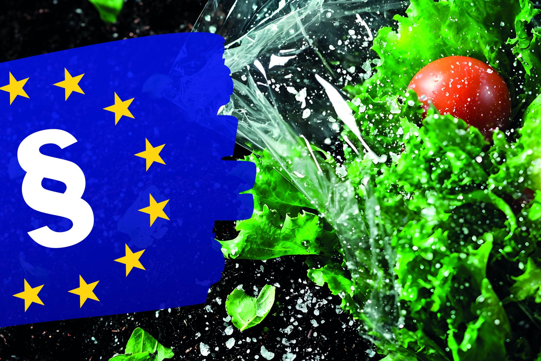 Europäische Flagge mit Paragraphenzeichen vor spritzendem Wasser und frischem Salat mit Tomate
