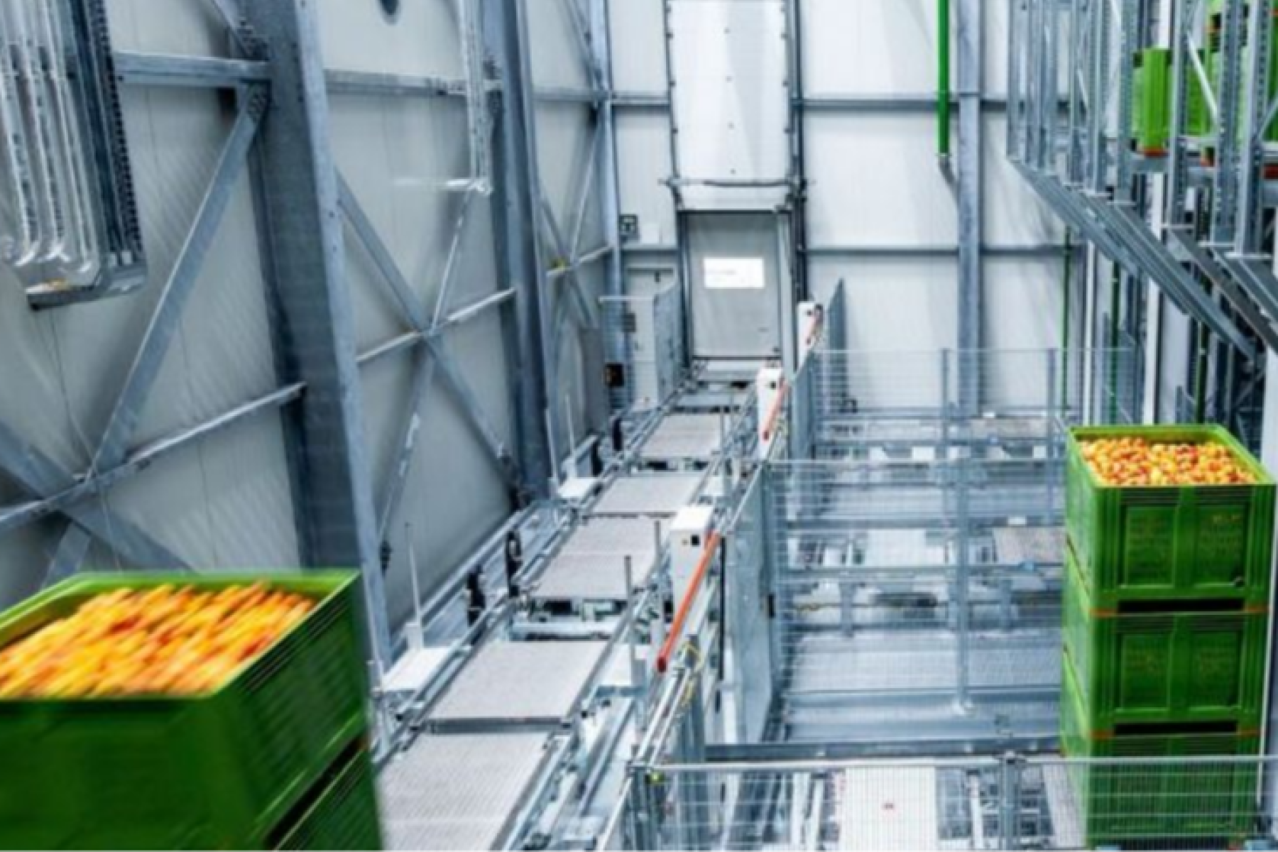 Innenansicht des Smart Fruit Hub mit automatisierten Förderbändern und grünen, vollen Kisten in einem Lagerhaus mit Metallstruktur
