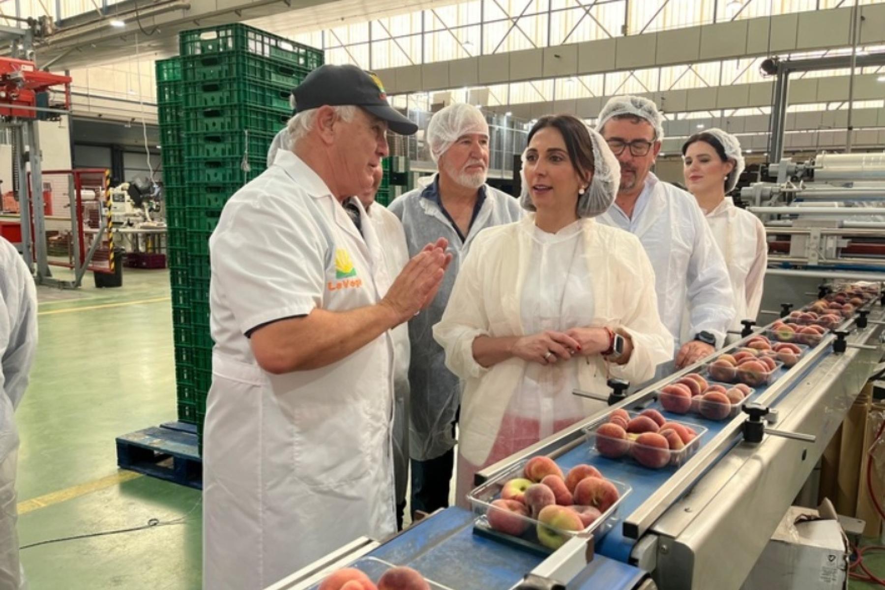 ünf Personen in Schutzkleidung stehen an einem Förderband mit verpackten Pfirsichen in einer Obstverarbeitungsanlage.