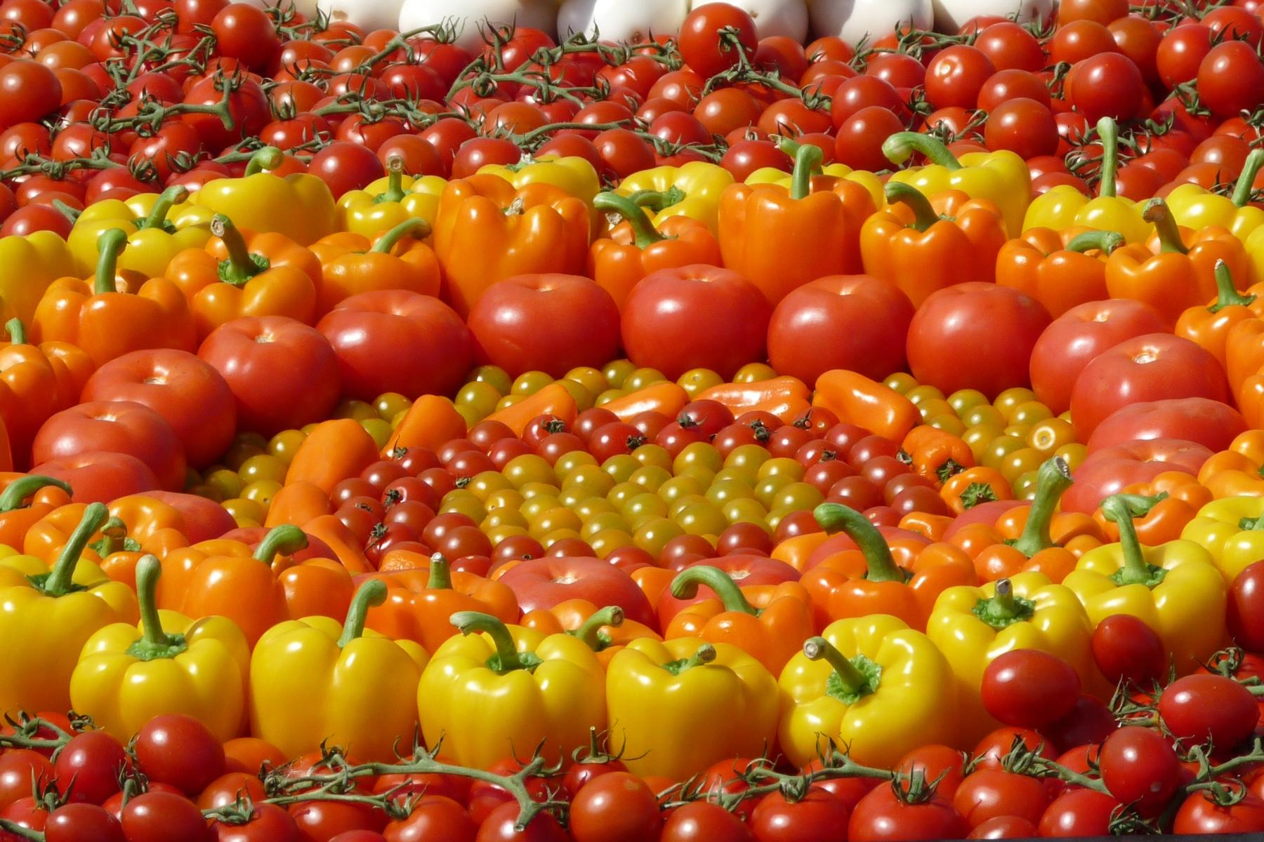 Tomaten und Paprika in Strudelform angeordnet