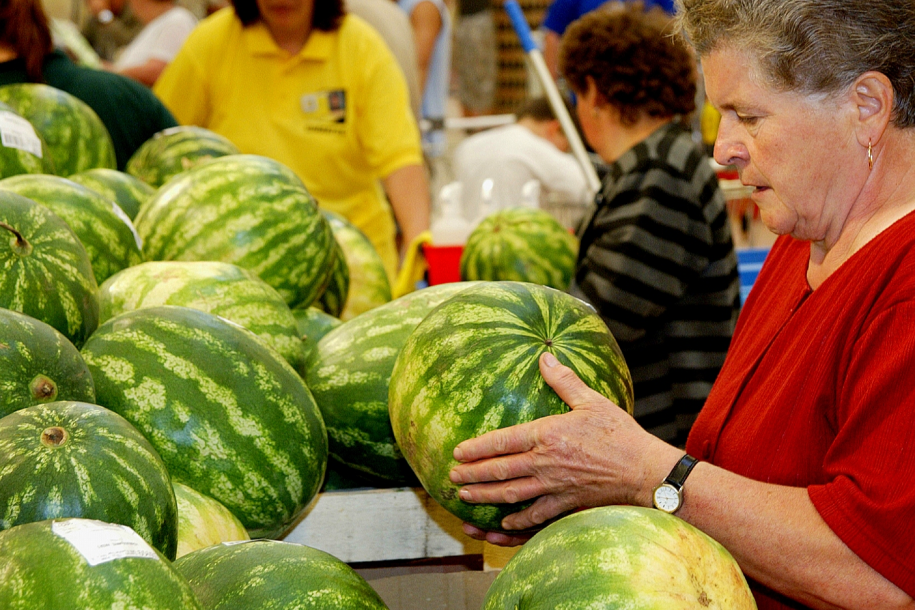 Frau in rotem Oberteil hält eine große Wassermelone auf einem Marktstand mit vielen Wassermelonen