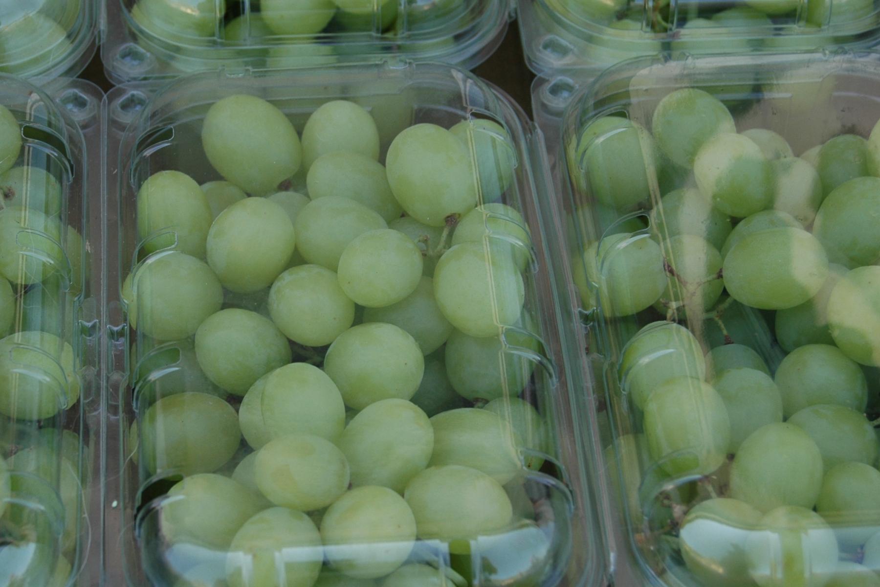 Mehrere Plastikbehälter mit grünen Trauben, dicht gepackt