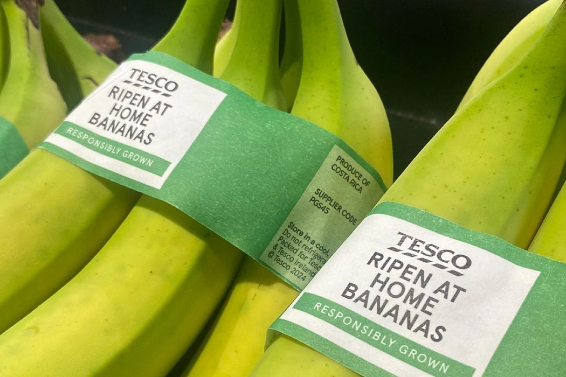 Bündel grüne Bananen mit Tesco-Etiketten 'Ripen at Home Bananas' und Hinweis 'Responsibly Grown'