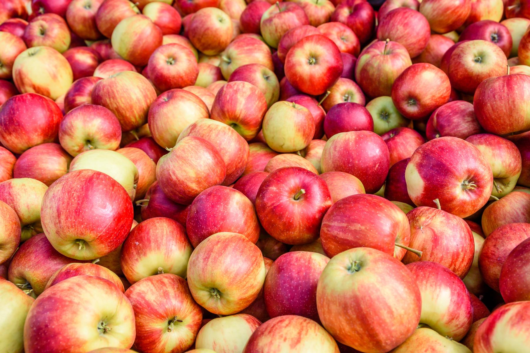 Eine große Menge Äpfel in verschiedenen rot-gelb Tönen, dicht nebeneinander liegend.