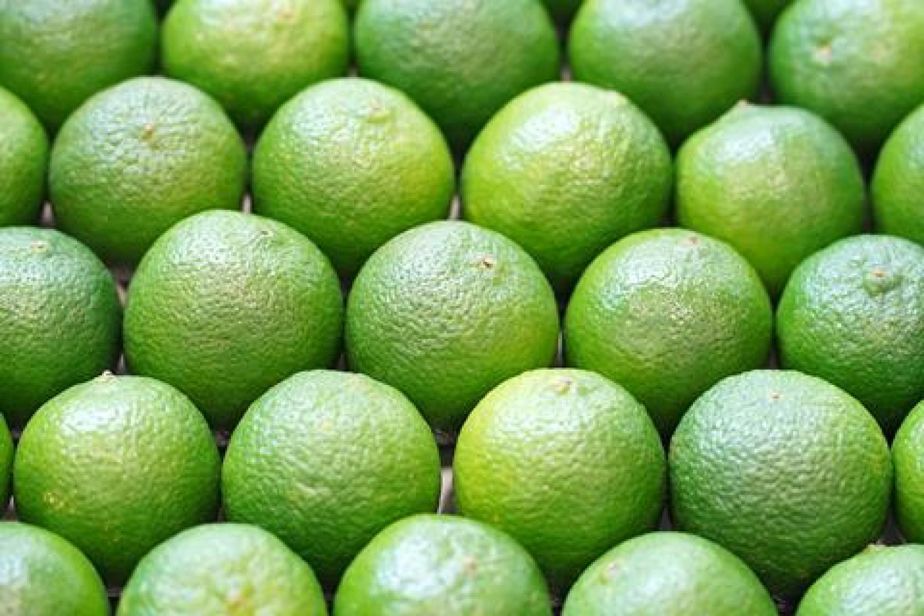 Limetten