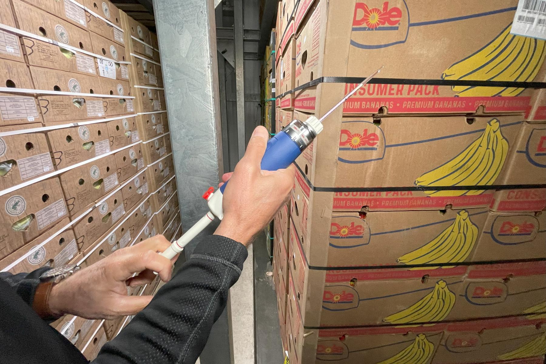 Zwei Hände halten ein blau-weißes Messgerät, das auf einen Stapel Dole-Bananenkartons gerichtet ist, in einem Lagerraum mit weiteren Kartons.