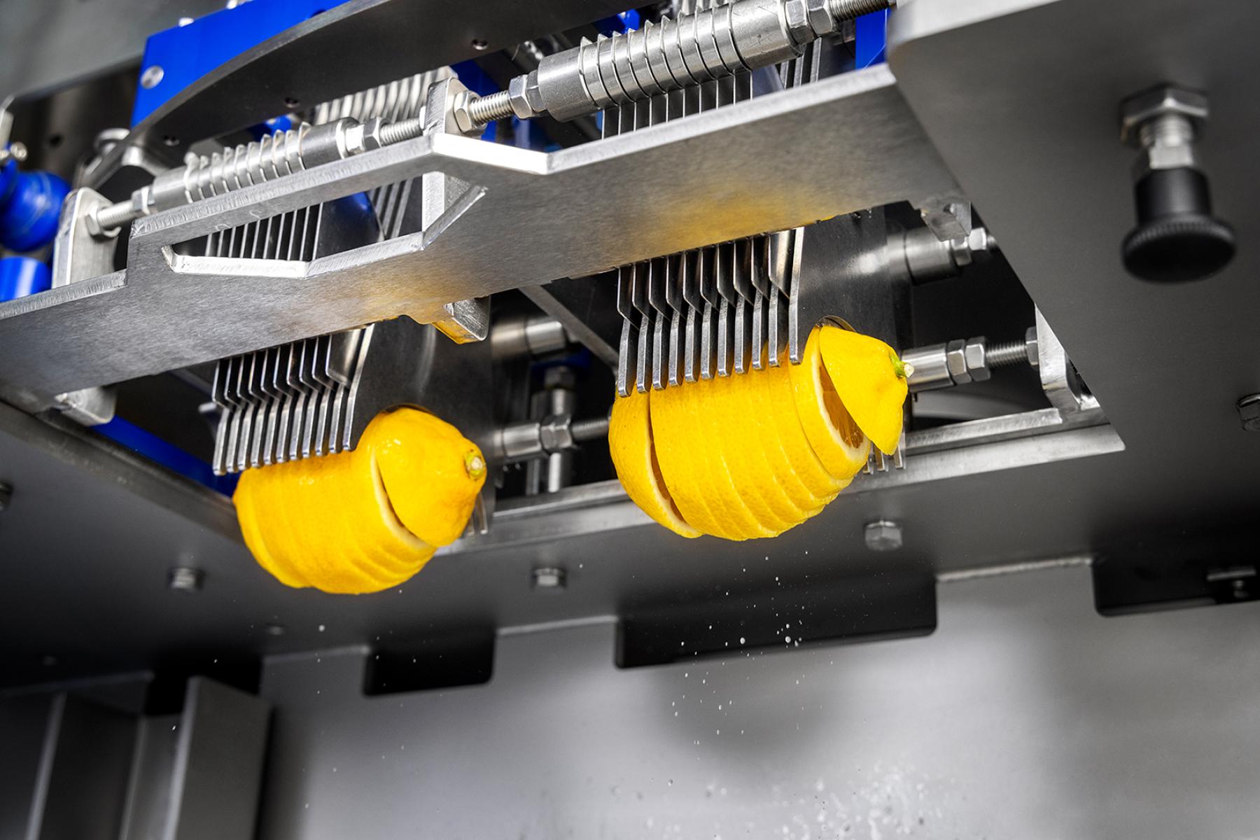 Maschine schneidet zwei Zitronen in dünne Scheiben, die an Metallklingen hängen.