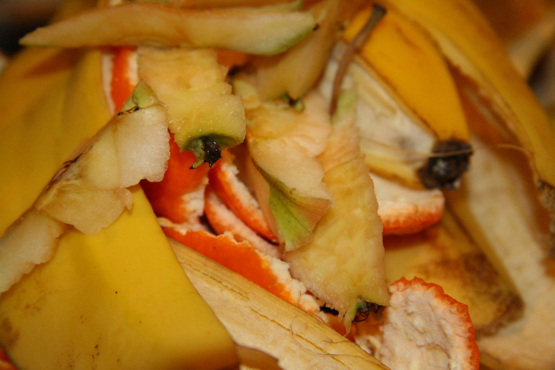 Schalenreste von Äpfeln, Bananen und Citrusfrüchten