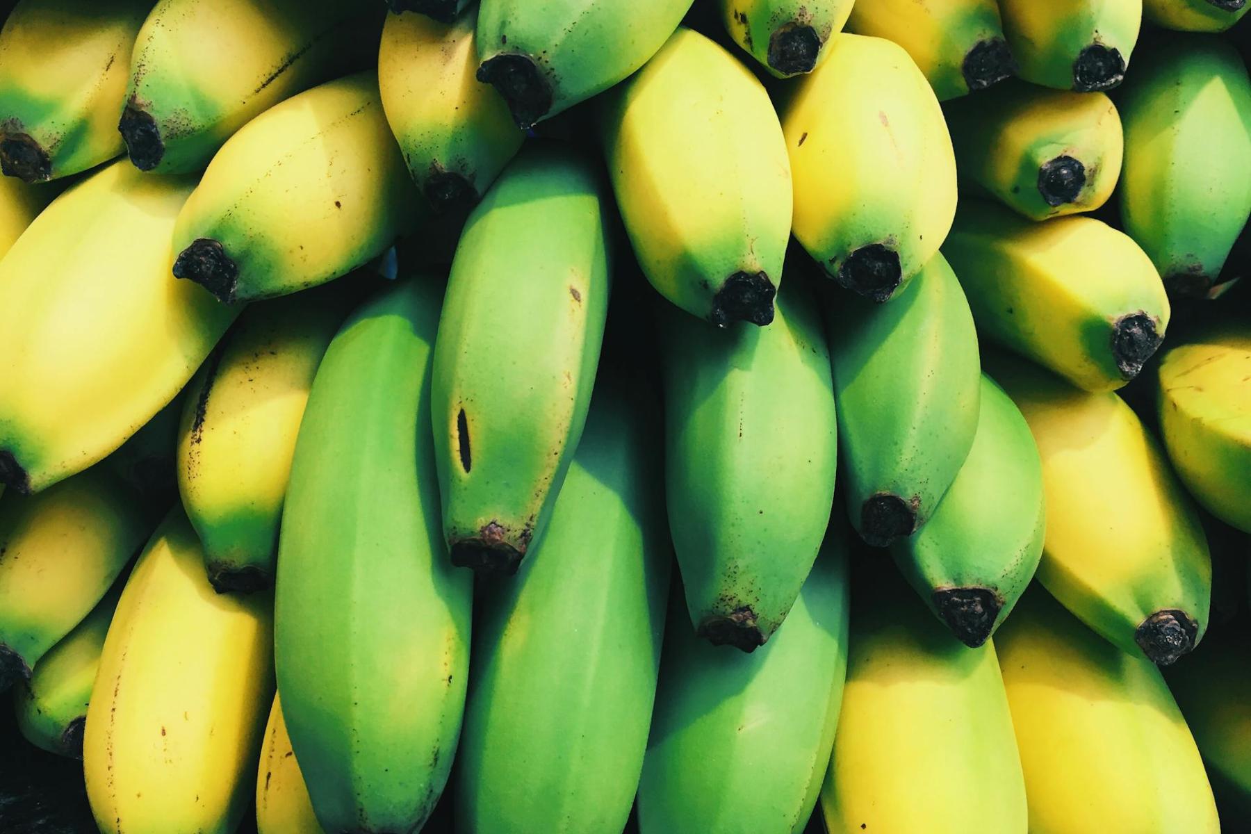 reife und unreife Bananen liegen eng aneinander, man sieht nur die unteren Teile der Frucht