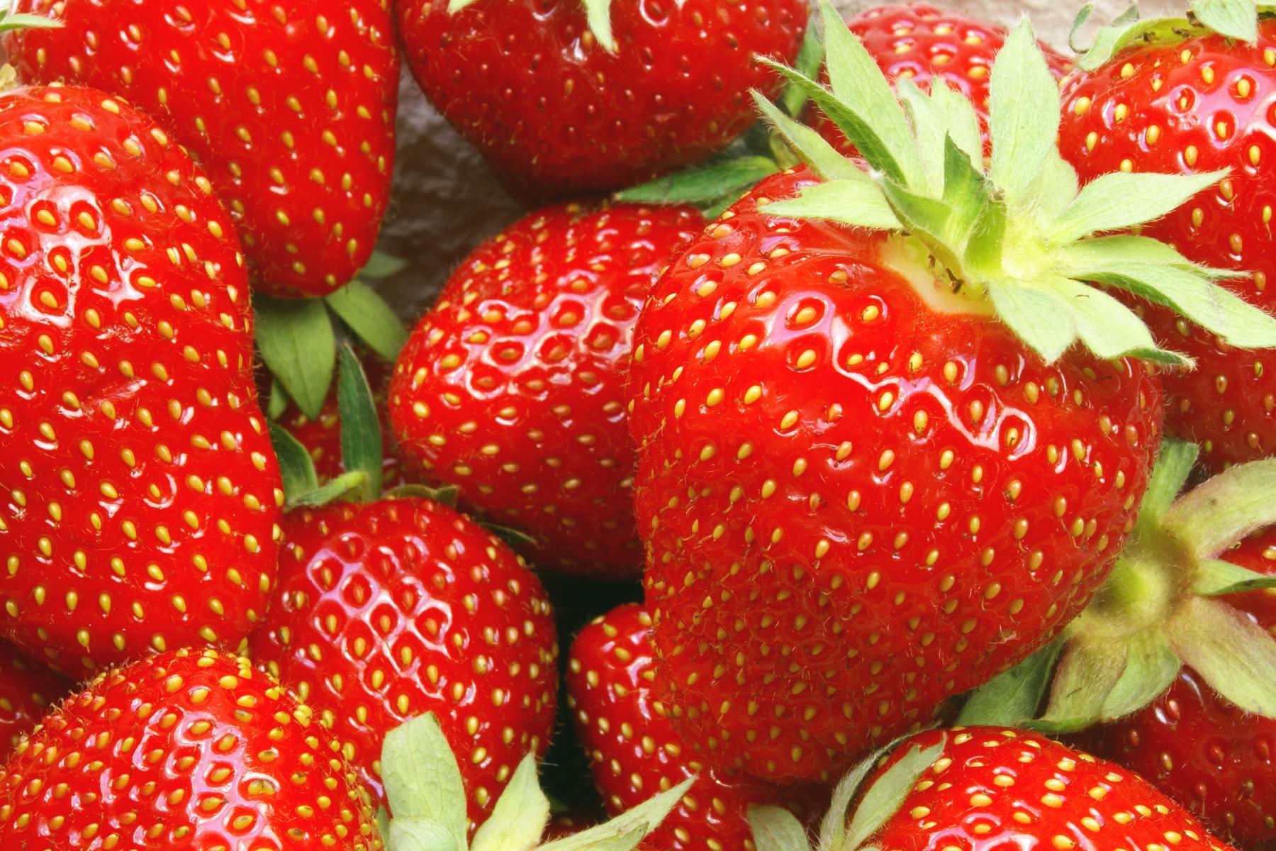 Reife Erdbeeren in verschiedenen Größen, rot mit grünen Blättern, eng beieinander liegend, mit sichtbaren Samen auf der Oberfläche.