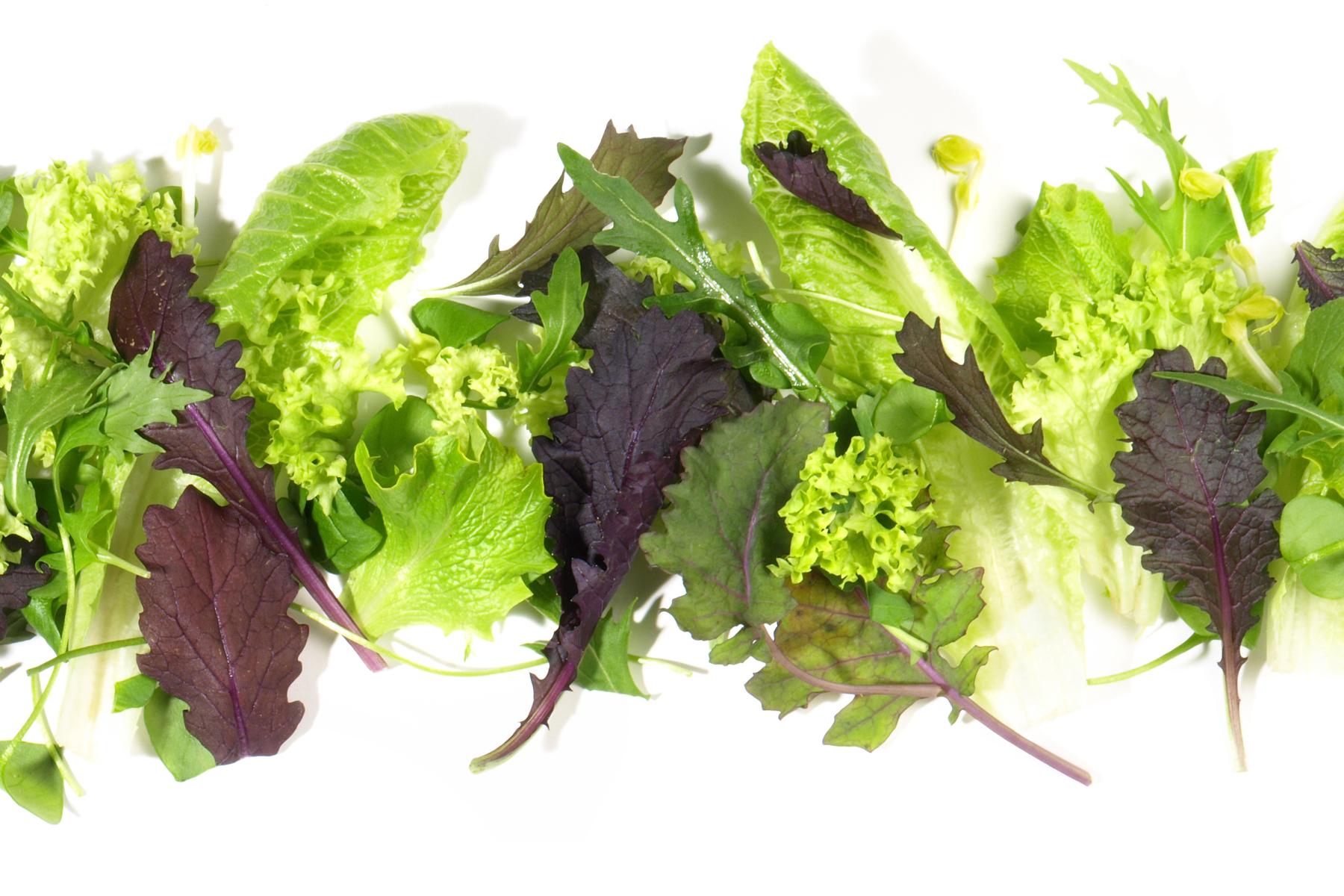 diverser Salat