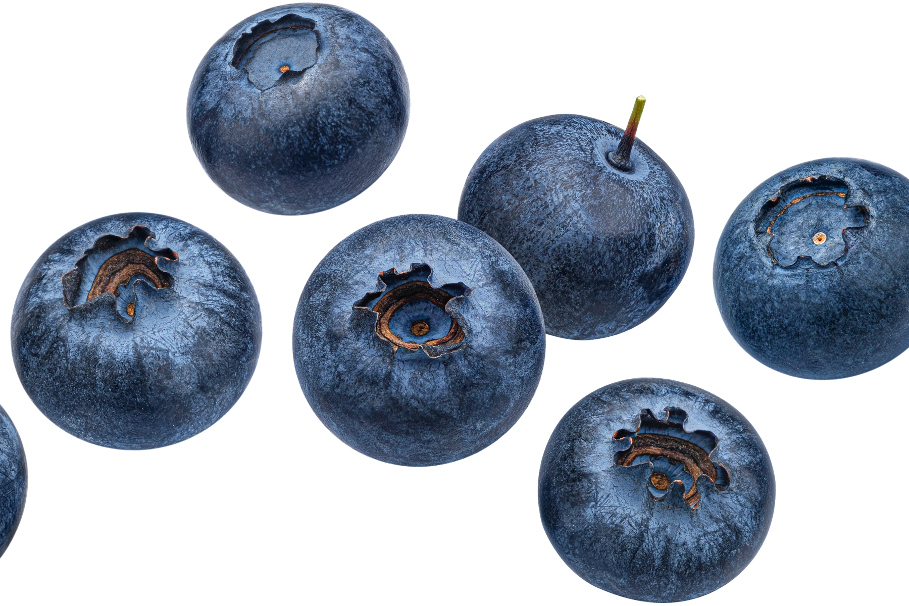 Acht Heidelbeeren in verschiedenen Positionen, rund und dunkelblau, mit sichtbaren Kelch- und Blütenansätzen.
