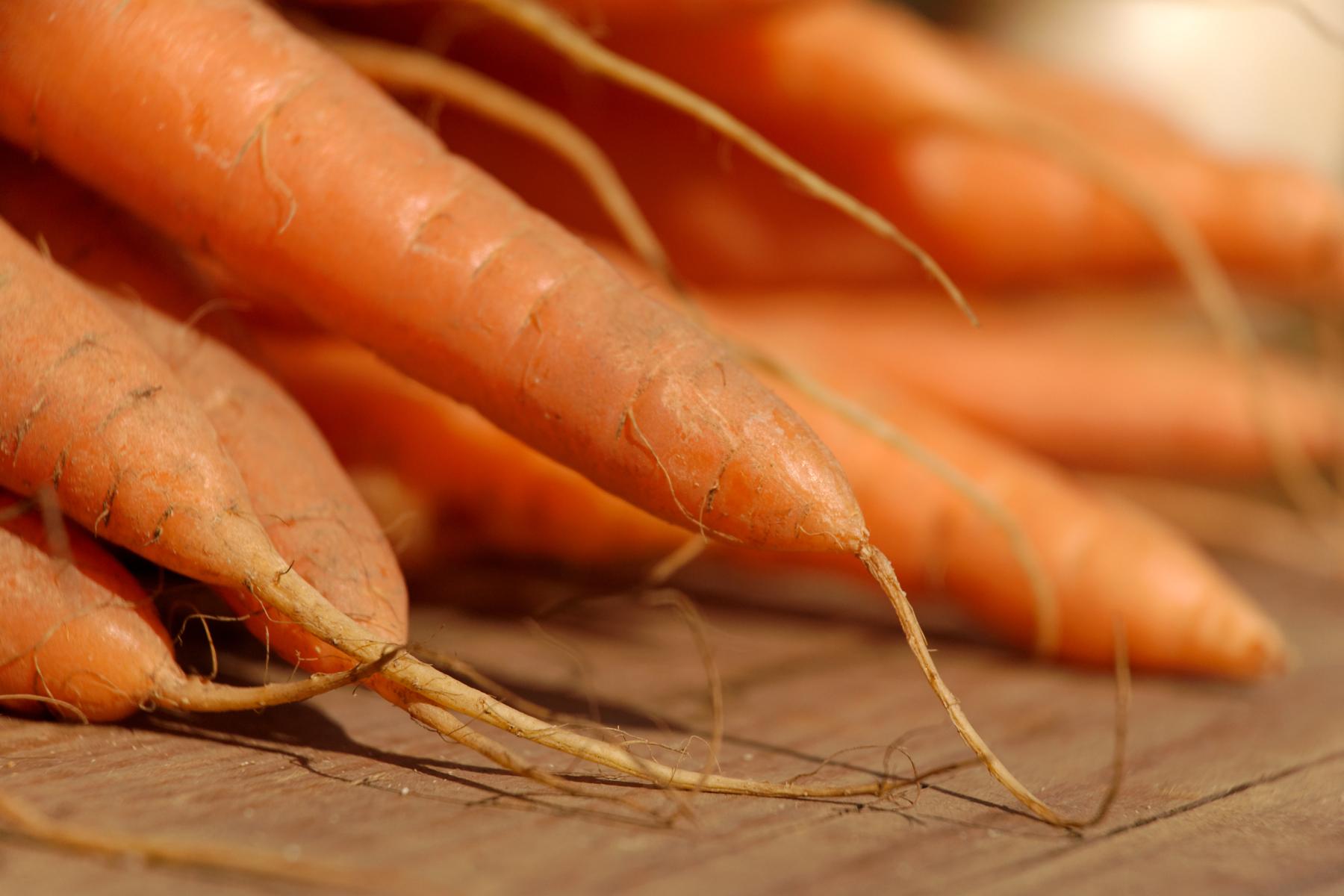 Nahaufnahme von mehreren frischen, orangefarbenen Karotten mit langen Wurzeln auf einer Holzoberfläche.