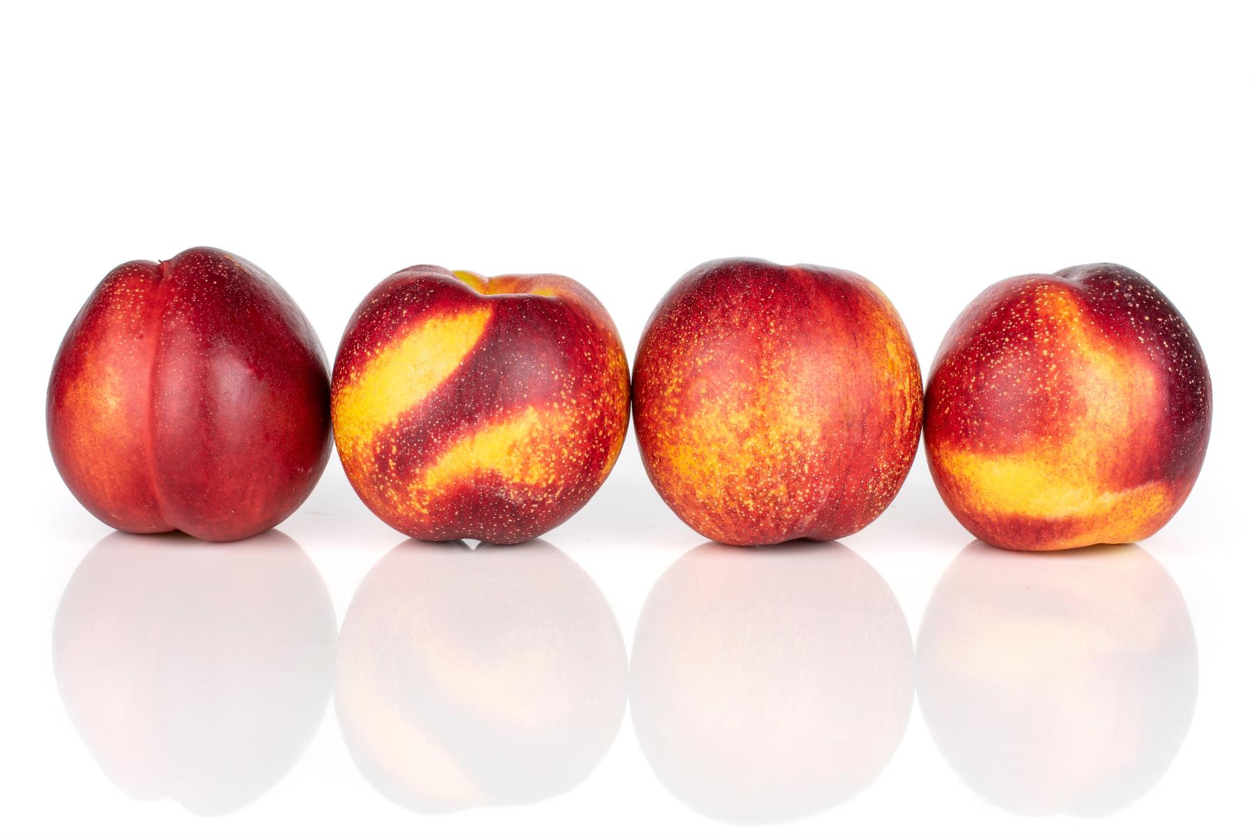 Vier Nektarinen in Reihe, rot mit gelben Streifen und Punkten, glänzende Oberfläche, auf einem reflektierenden Untergrund.