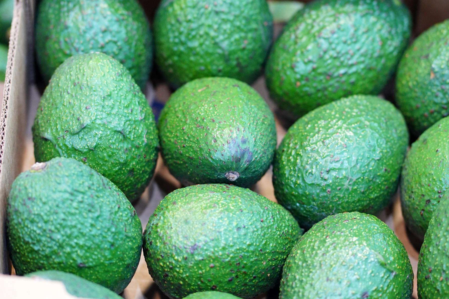 Mehrere grüne Avocados in einer Kiste, mit einer leicht unregelmäßigen Oberfläche und unterschiedlichen Größen.