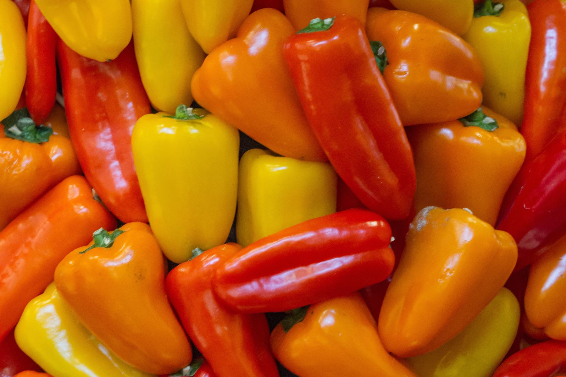 Bunte Paprika in Rot, Orange und Gelb, verschiedene Formen und Größen, eng zusammenliegend.
