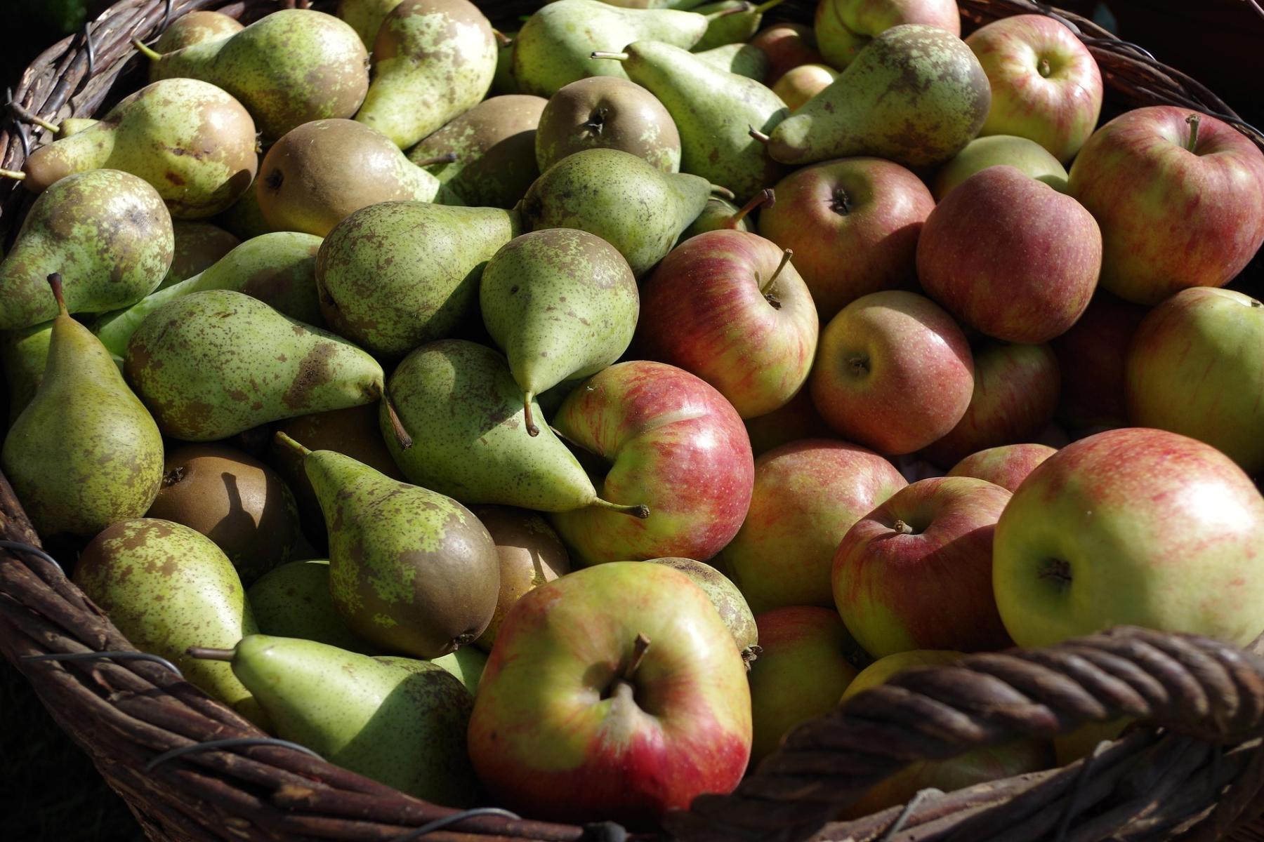 Äpfel und Birnen in einem Korb