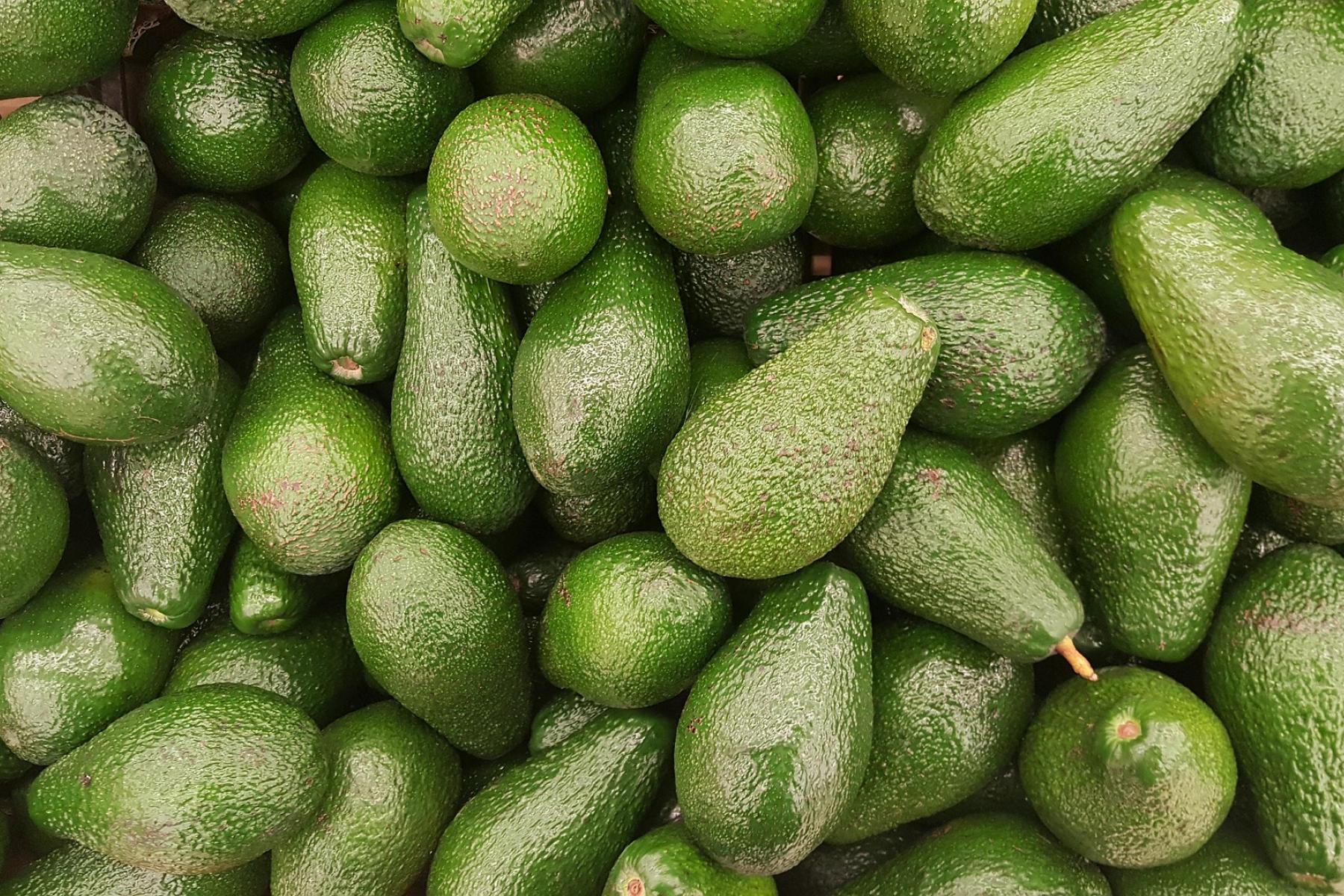 Große Menge reifer Avocados, eng aneinander liegend.