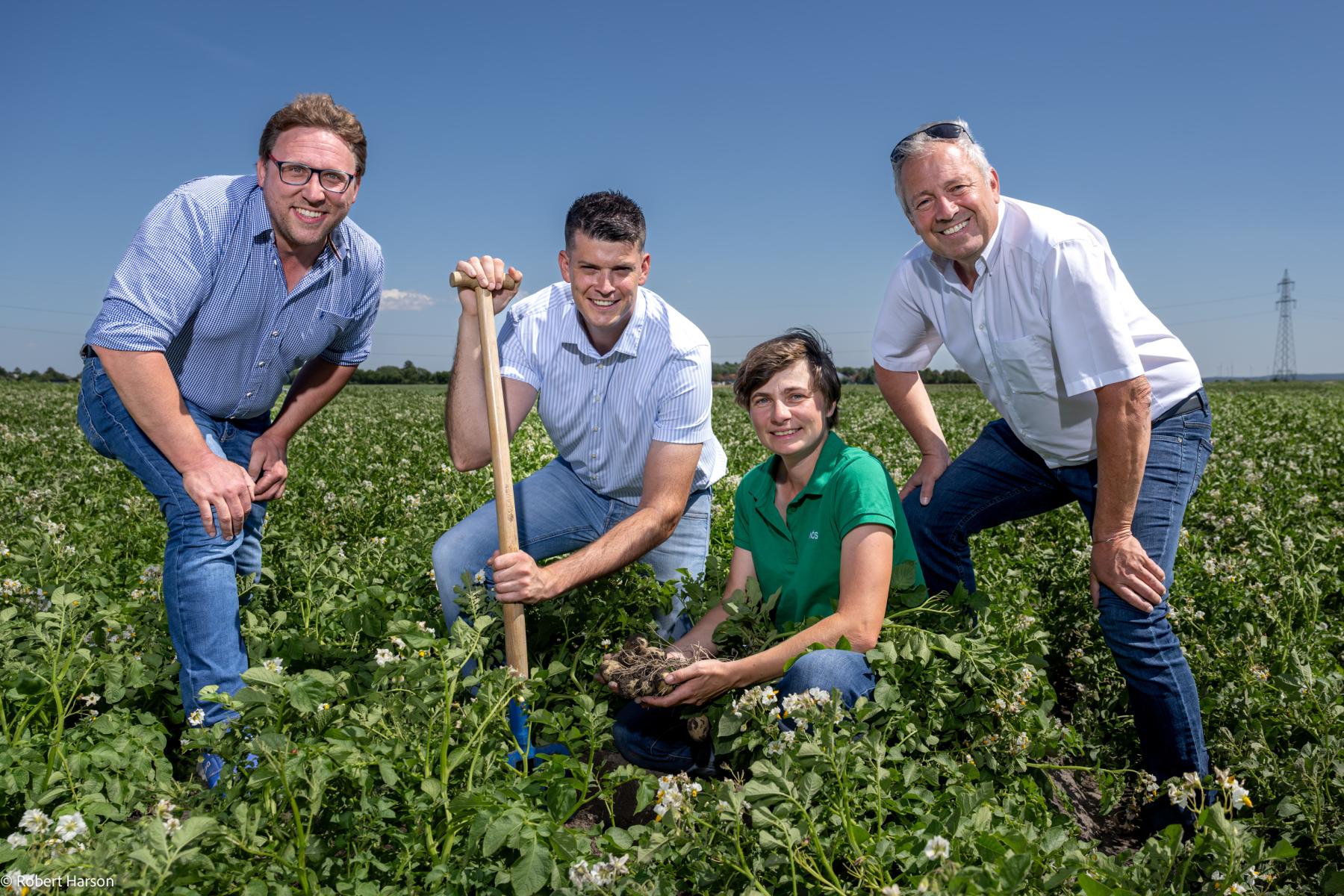 v.l.: Michael Buxbaum (Geschäftsführer der Niederösterreichischen Saatbaugenossenschaft NÖS), Benjamin Einfalt (Billa-Einkäufer), Susanne Kirchmaier (Züchterin bei NÖS) und Johann Regner (Rewe Bereichsleiter Obst und Gemüse)