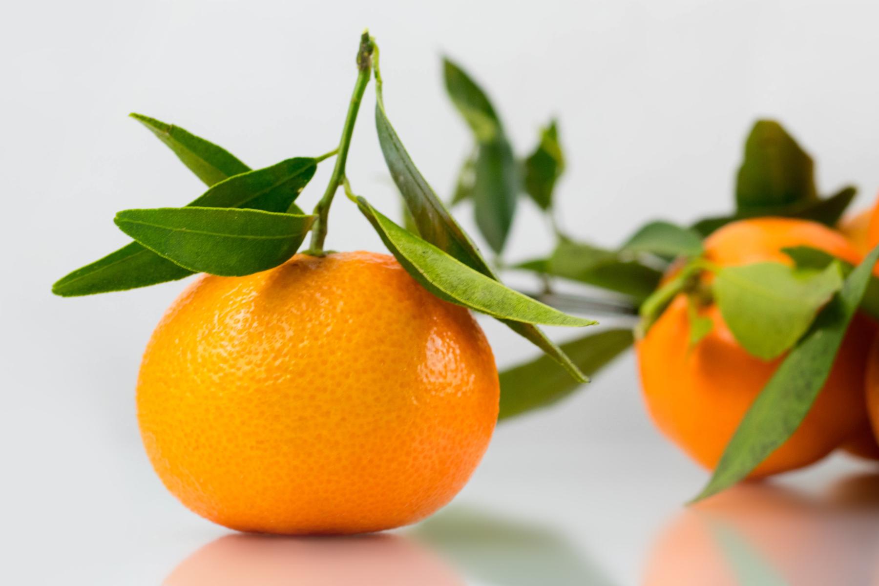 Eine Clementine mit grünem Blatt am Stiel, daneben unscharf weitere Clementinen mit Blättern auf hellem Untergrund