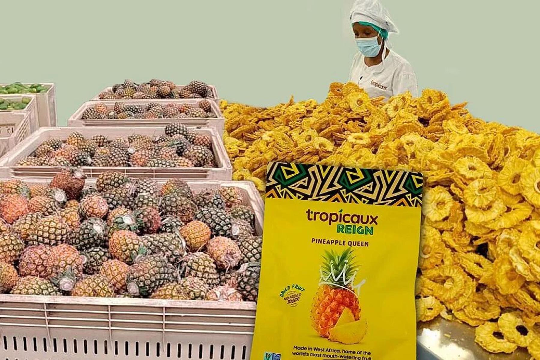 frisch, ganze und getrocknete Ananas in Scheiben