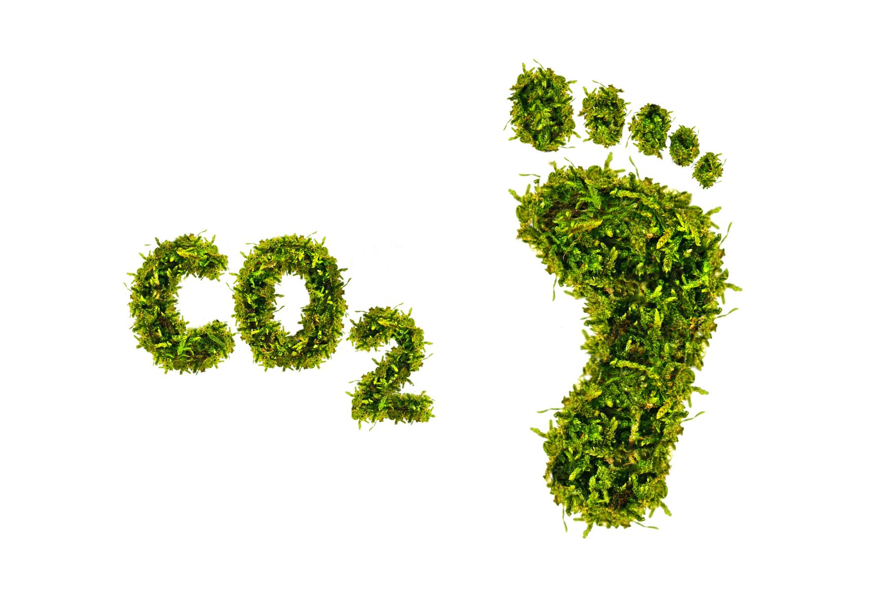 Grüne Buchstaben bilden 'CO2' links, rechts ein Fußabdruck aus Gras. Beide Elemente symbolisieren Umweltthemen.