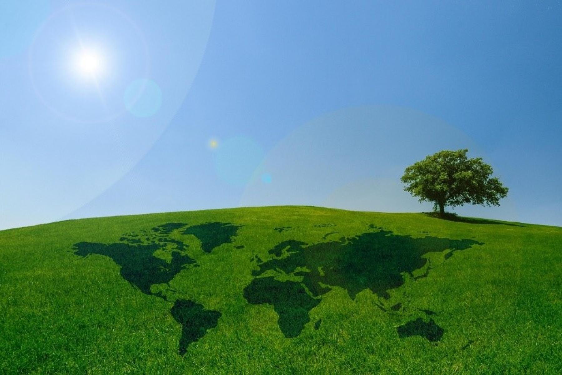 Eine grüne Wiese mit einer Weltkarte, die im Gras sichtbar ist. Im Hintergrund steht ein einzelner Baum unter einem blauen Himmel mit Sonne.