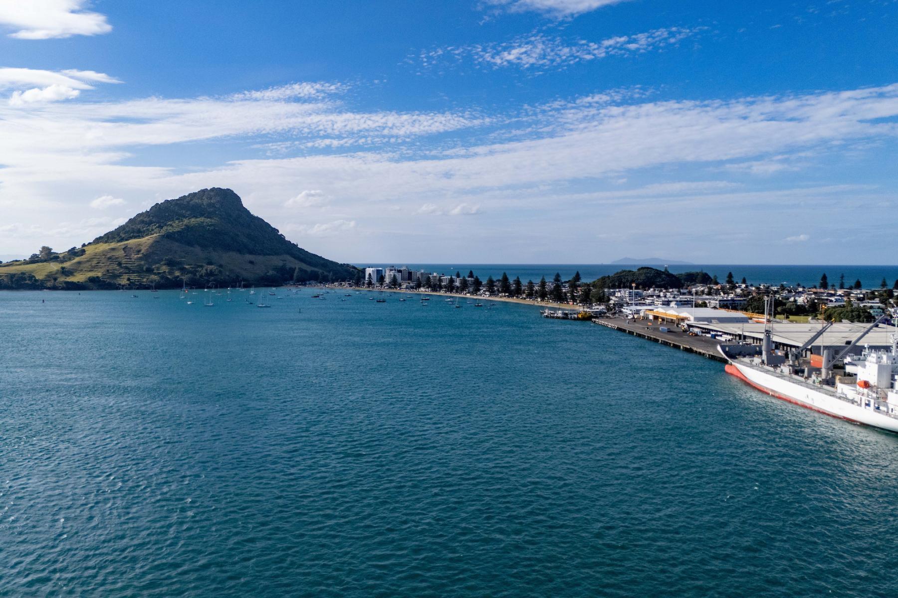 Blick auf einen Hafen mit einem großen Frachtschiff im Vordergrund. Im Hintergrund ist ein Hügel und eine Küstenlinie mit Bäumen und Gebäuden sichtbar.