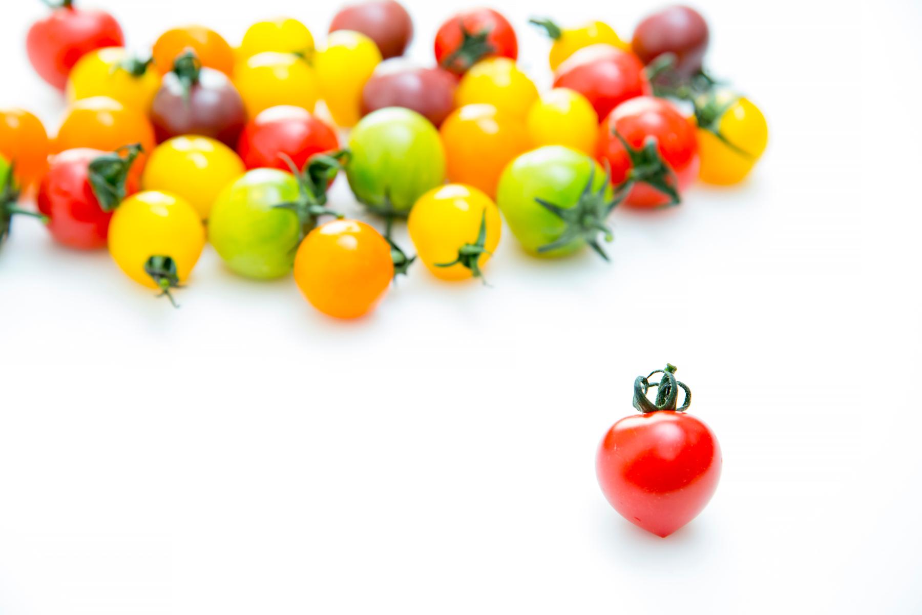 Eine rote Herz-Tomate steht im Vordergrund, während im Hintergrund eine Ansammlung von bunten Kirschtomaten in Gelb, Grün und Rot zu sehen ist.