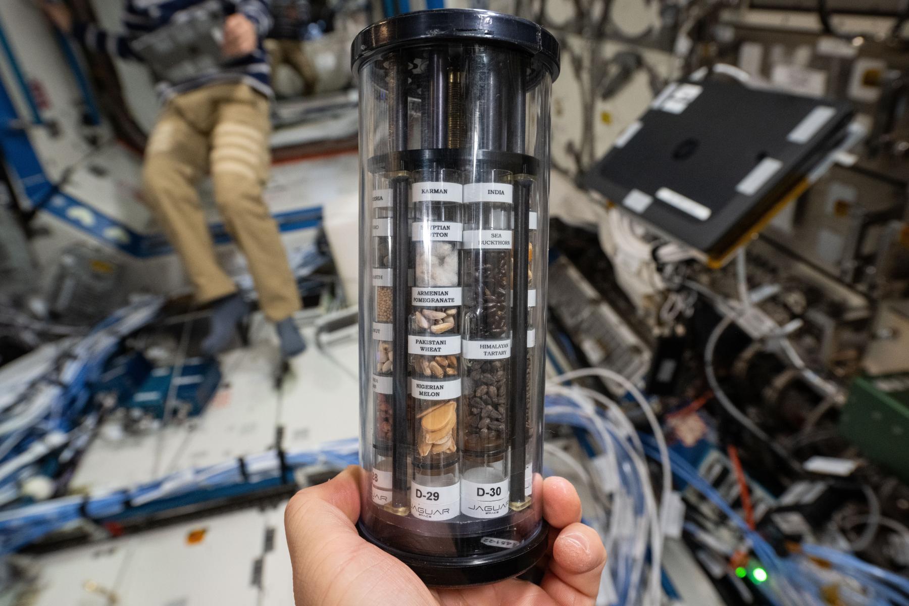 Probenbehälter an Bord der ISS