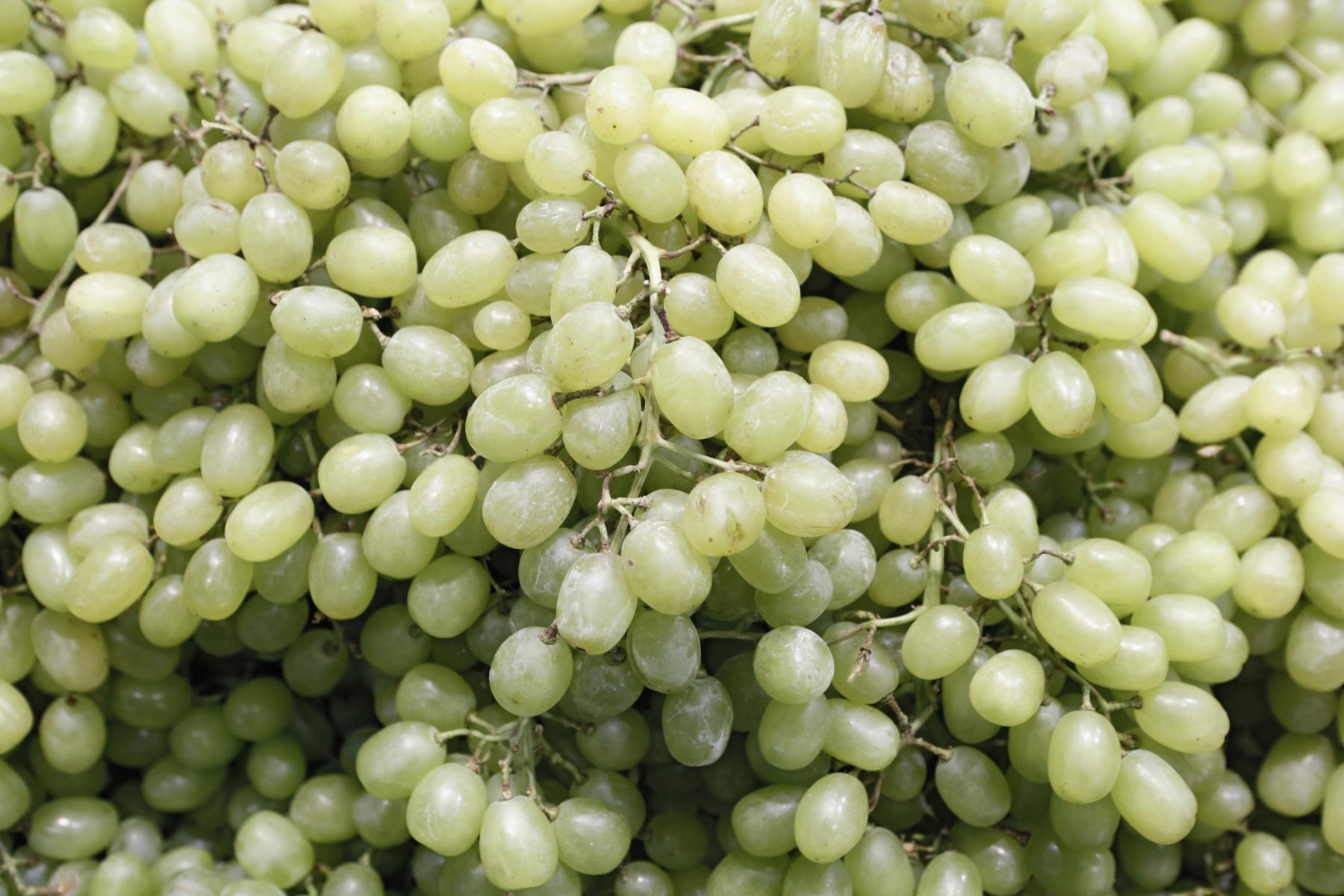 Eine große Menge grüner Trauben, dicht gepackt