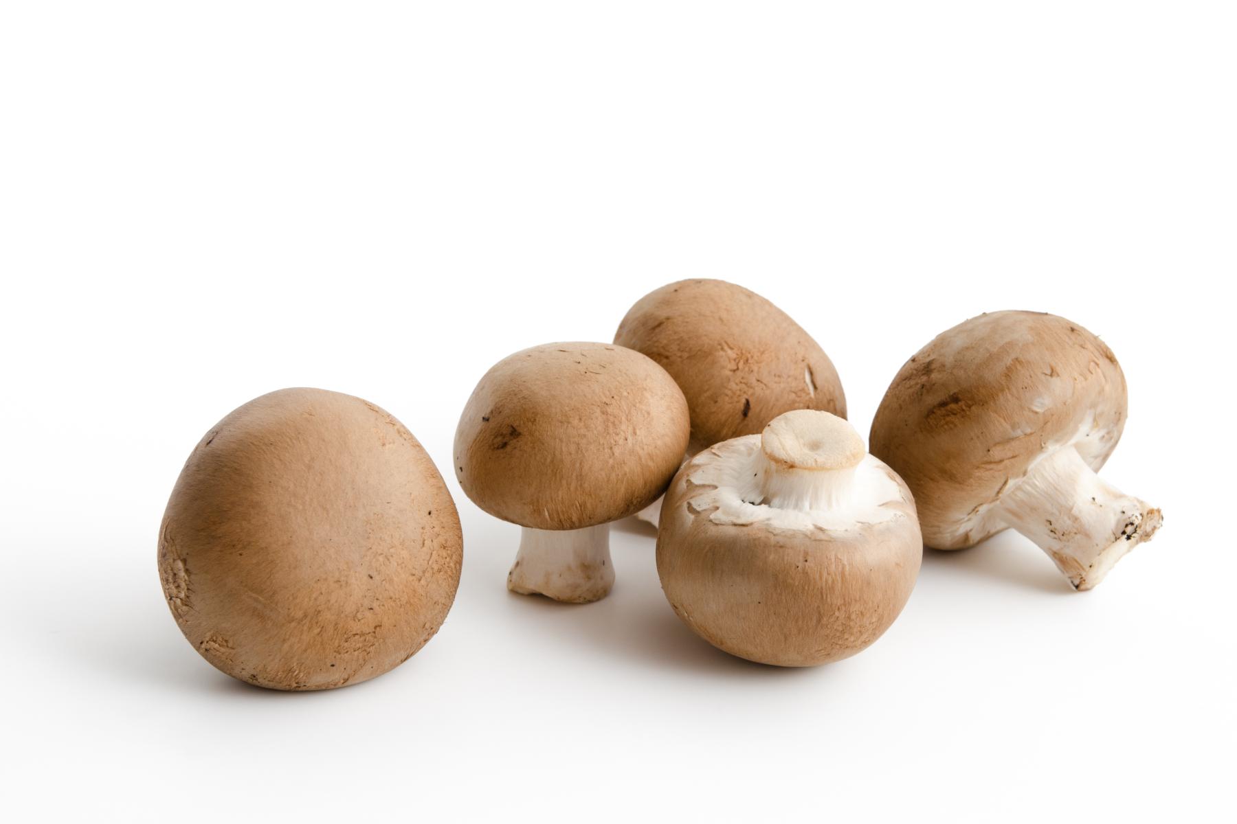 Fünf braune Champignons unterschiedlicher Größe, einige mit sichtbaren Stielen, auf hellem Untergrund.
