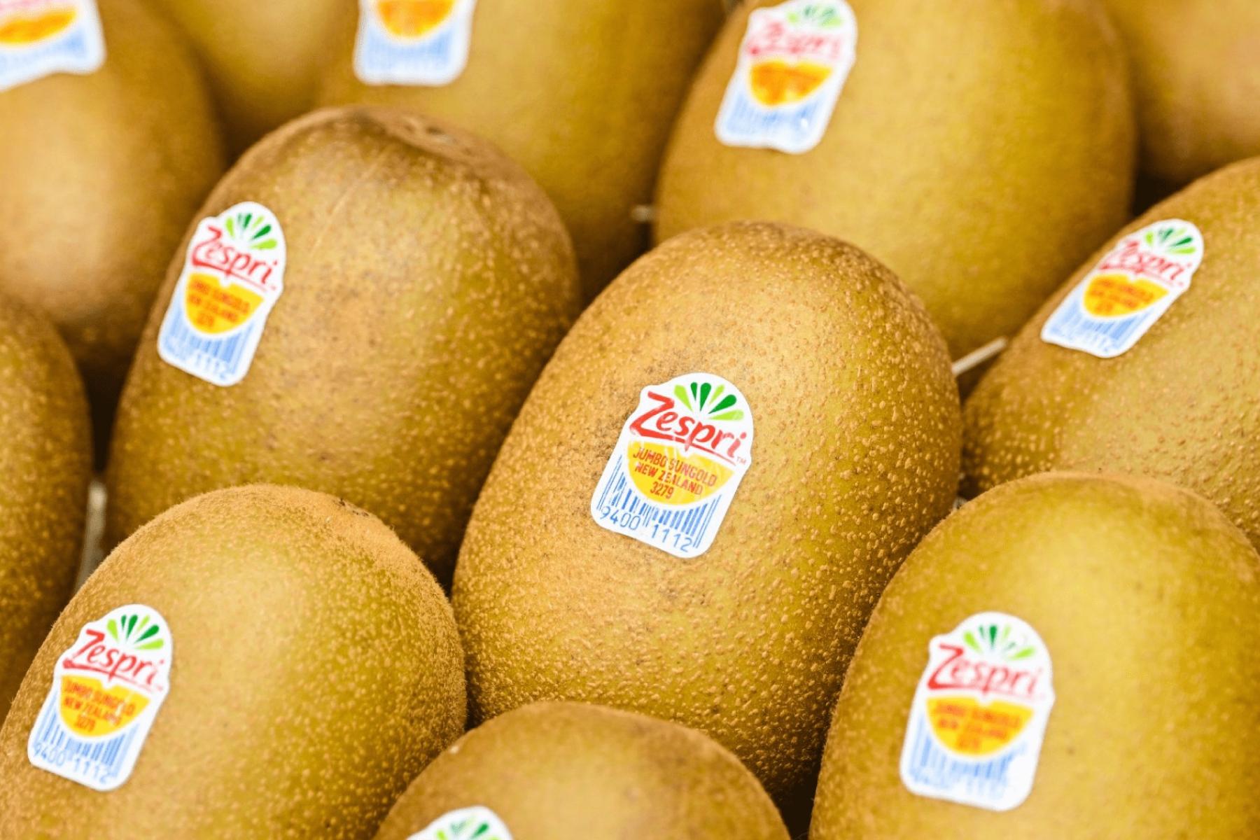 Mehrere braune Kiwis mit Zespri-Etiketten, die auf einem Tisch angeordnet sind. Die Kiwis haben eine runde Form und eine samtige Oberfläche.