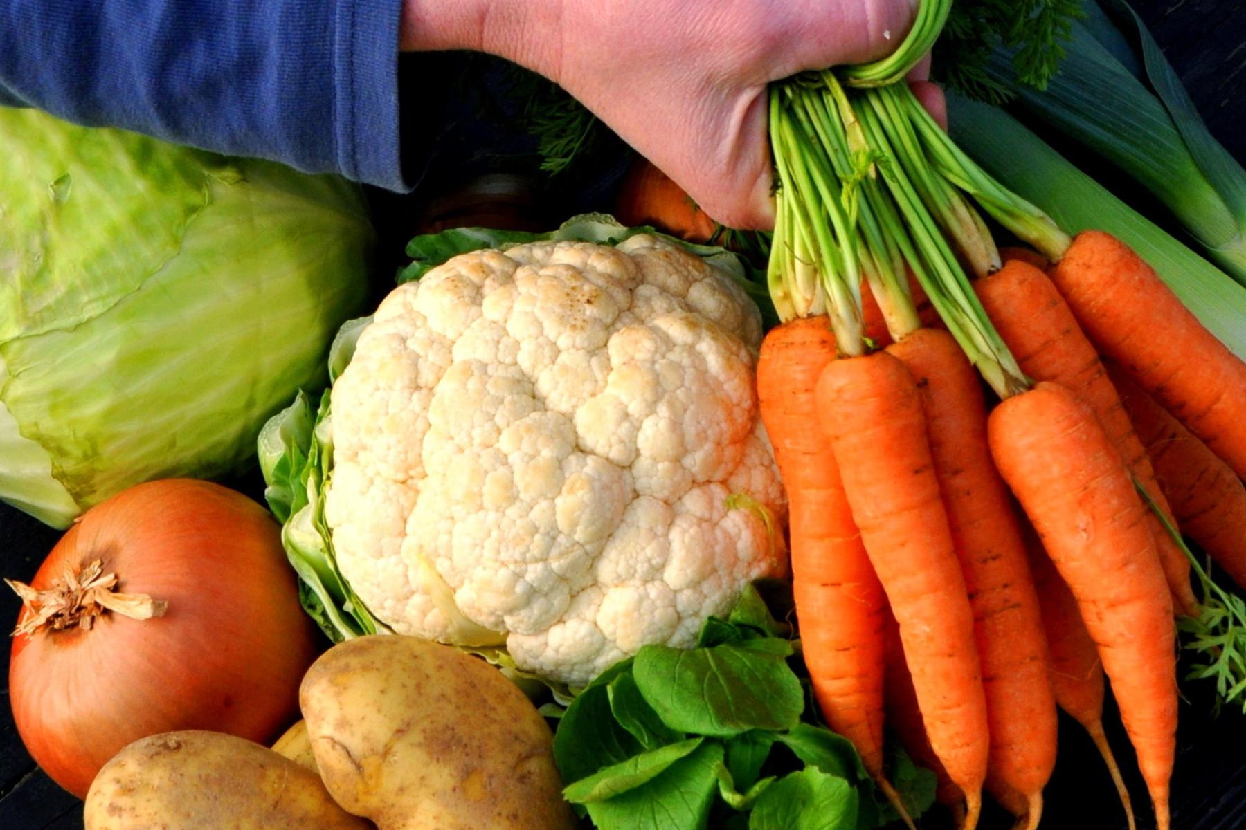 Erzeuger mit Möhren in der Hand und weiterem Gemüse