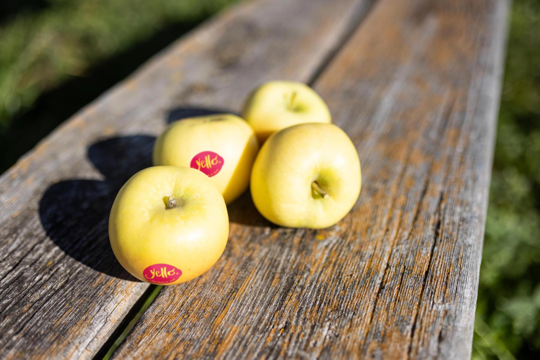 yello-Äpfel auf einem Holzbrett