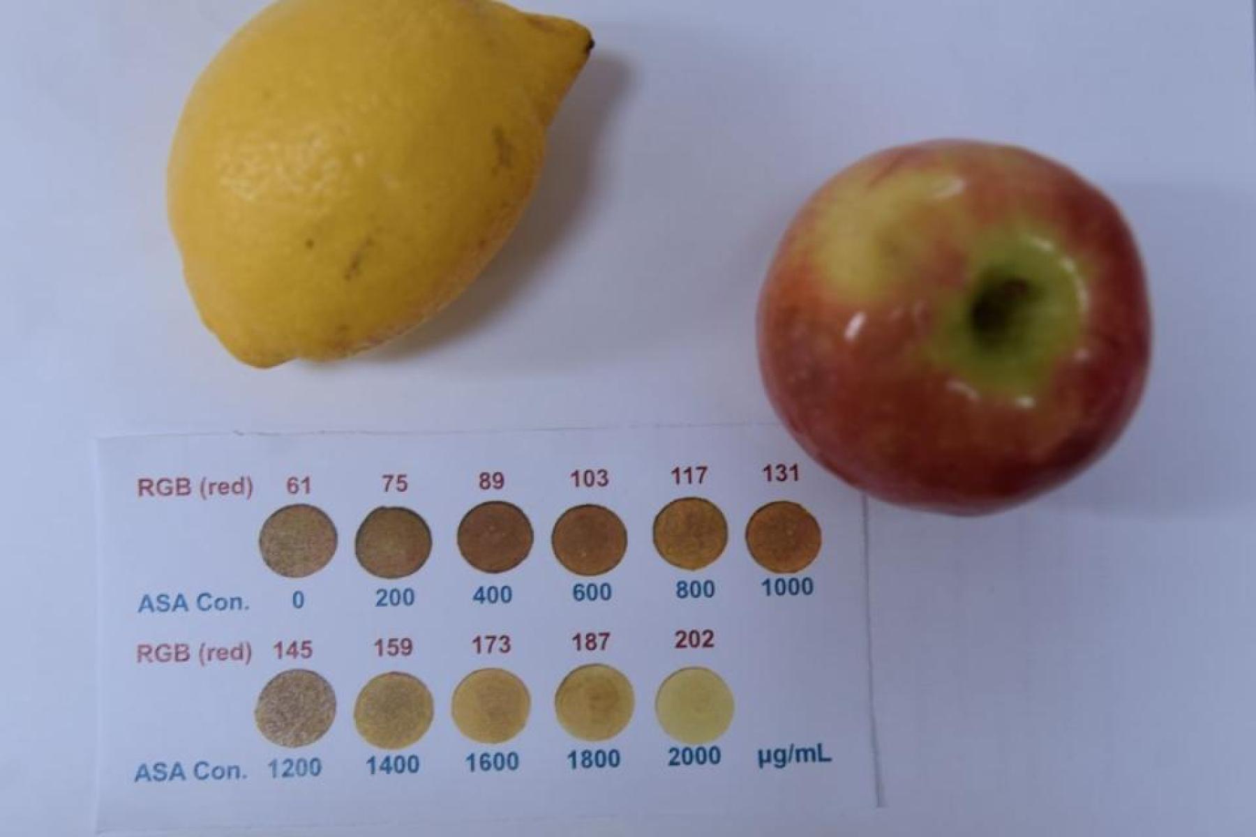 Am Beispiel Apfel und Zitrone sieht man die verschiedenen Vitamin-C-Gehalte.