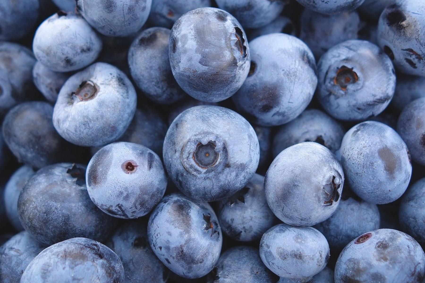 Heidelbeeren