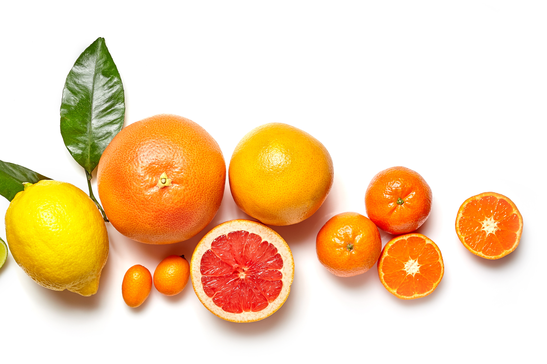 Zitrusfrüchte in einer Reihe, darunter Zitrone mit Blatt, Grapefruit halbiert, Mandarinen und Kumquats, auf weißem Untergrund.