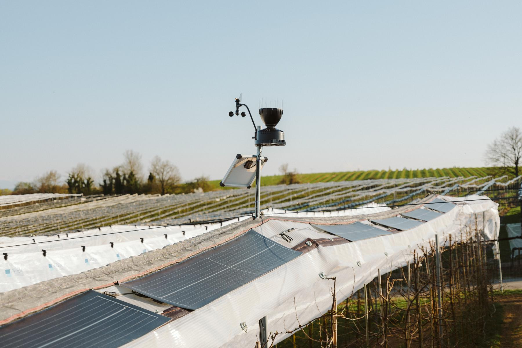 Solarmodule auf einem landwirtschaftlichen Feld mit Wetterstation und Messgeräten auf einem Mast im Vordergrund.
