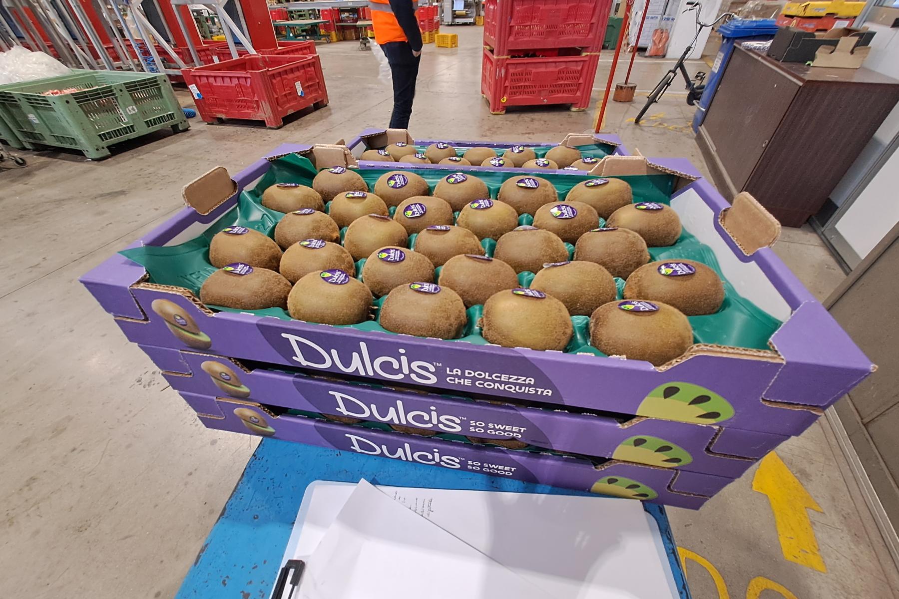Kiwi Dulcis™ in der Steige