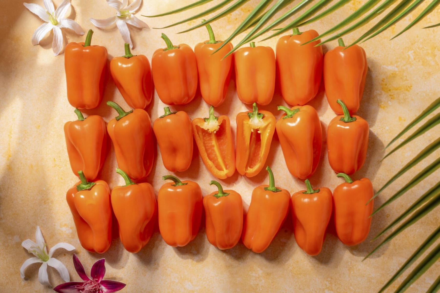 Mehrere orangefarbene Mini-Paprikaschoten, einige halbiert, auf hellem Untergrund mit grünen Gräsern und weißen Blüten.