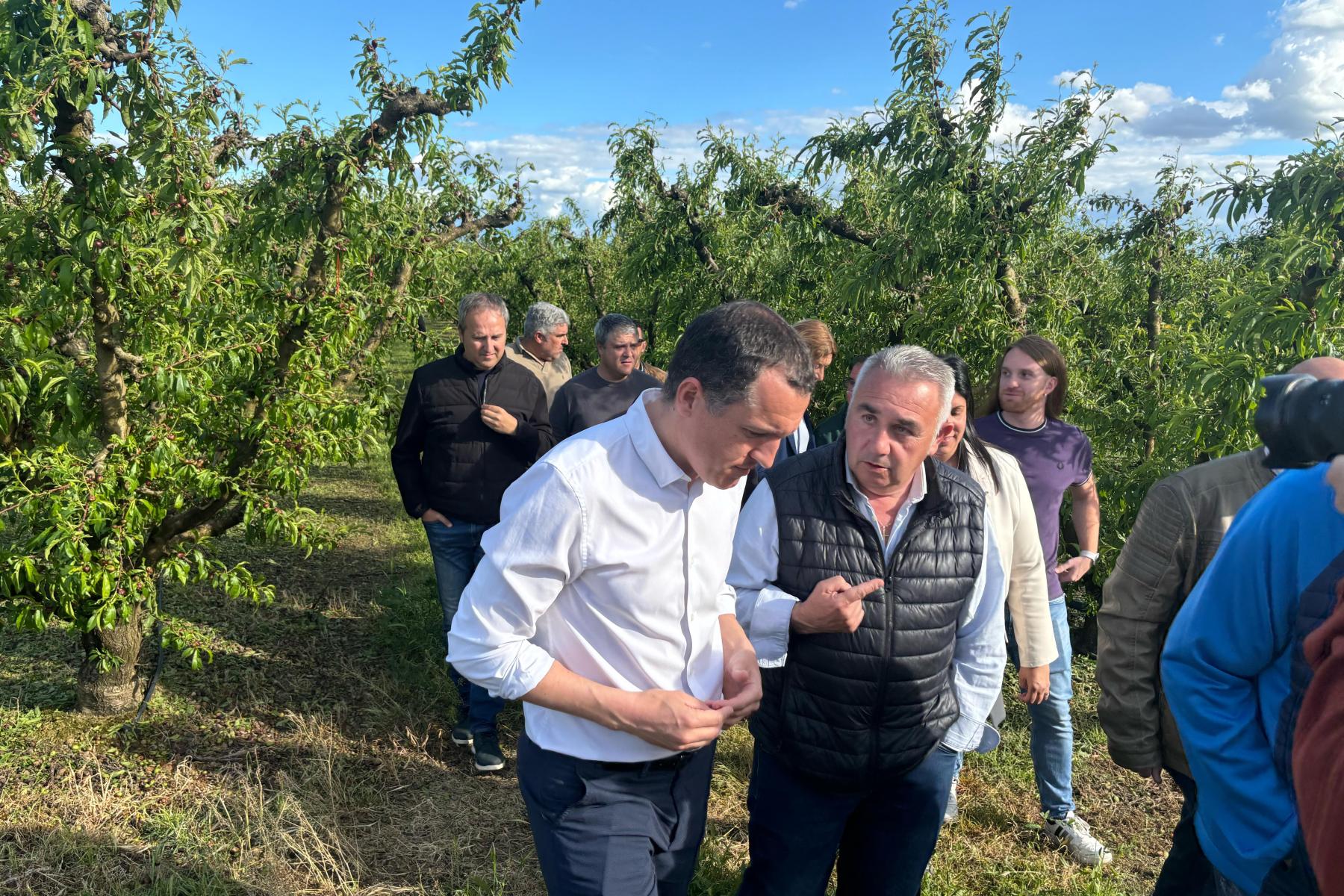 Gruppe von Menschen in einem Obstgarten mit grünen Bäumen unter blauem Himmel