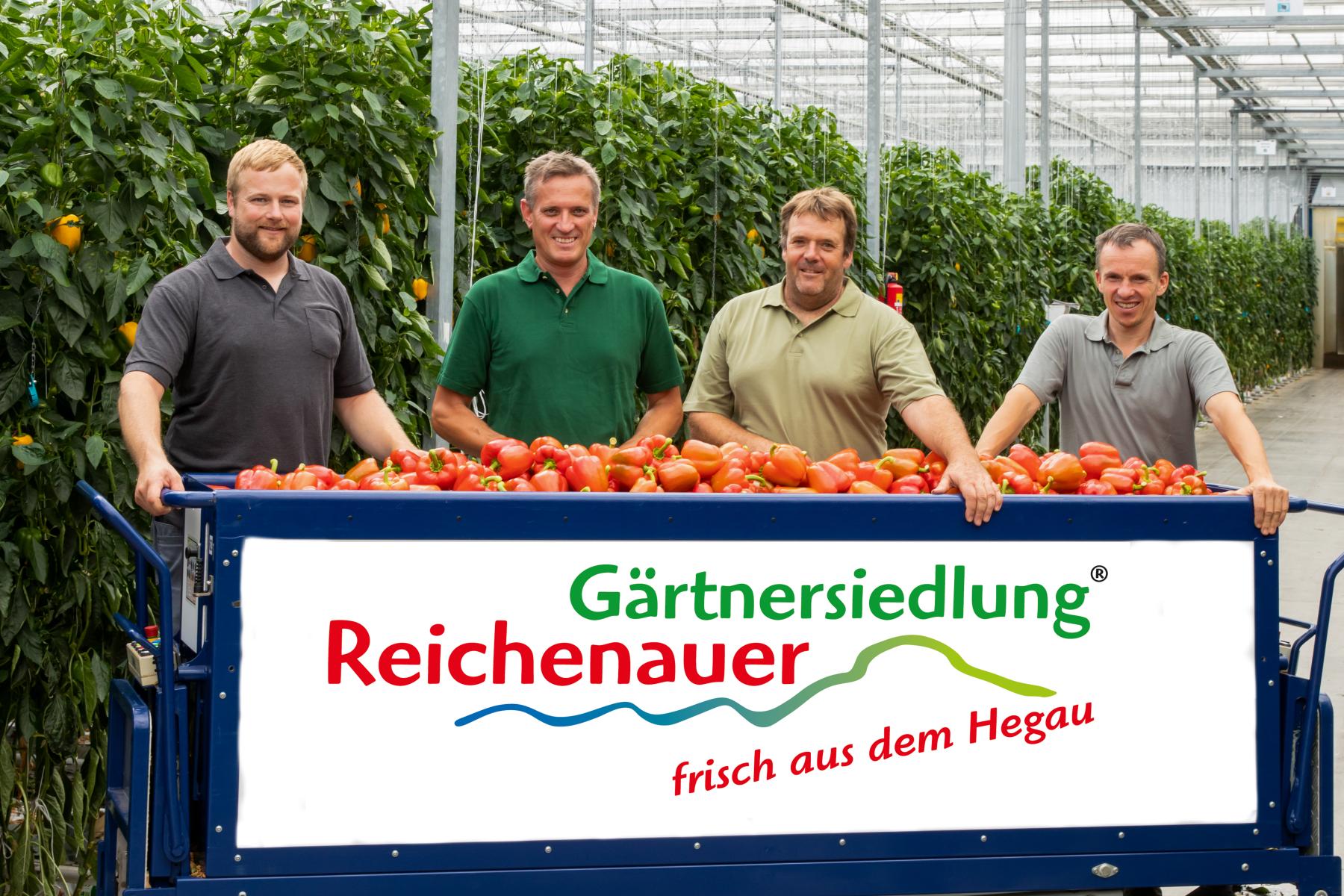 David Wehrle, Mathias Rückert, Clemens Blum und Tobias Jörg stehen in einem Gewächshaus hinter einem Wagen mit roten Paprikas. Auf dem Wagen steht das Schild 'Gärtnersiedlung Reichenauer frisch aus dem Hegau'.