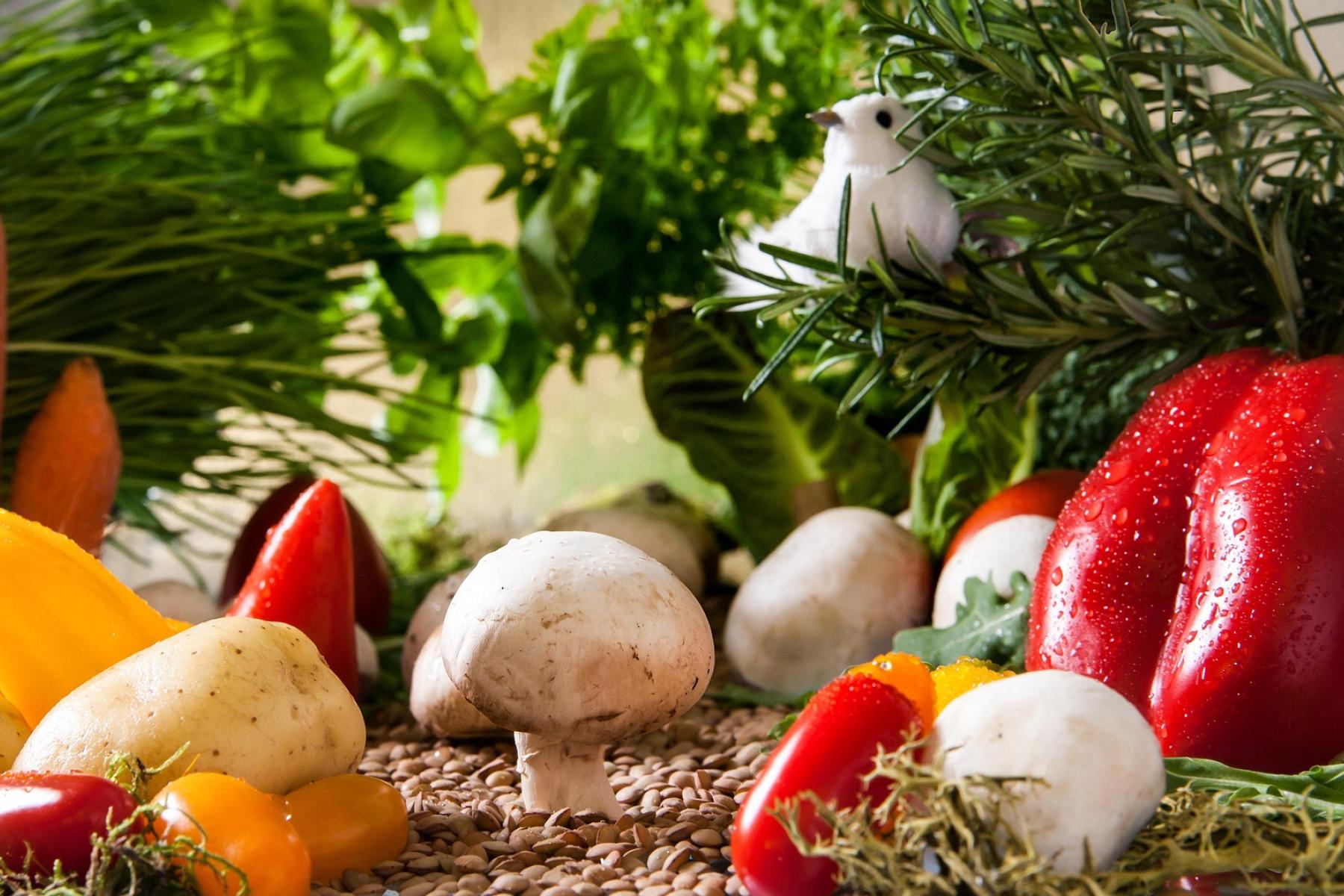 Frische Champignons, rote Paprika, gelbe und rote Chilis, Kartoffeln und grüne Kräuter