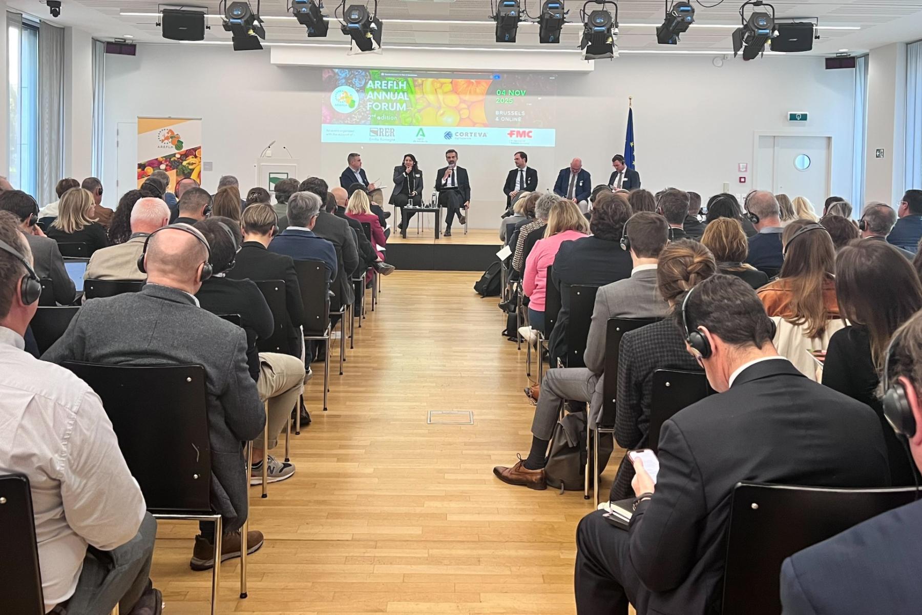 Bild von der AREFHL-Jahresversammlung in Brüssel